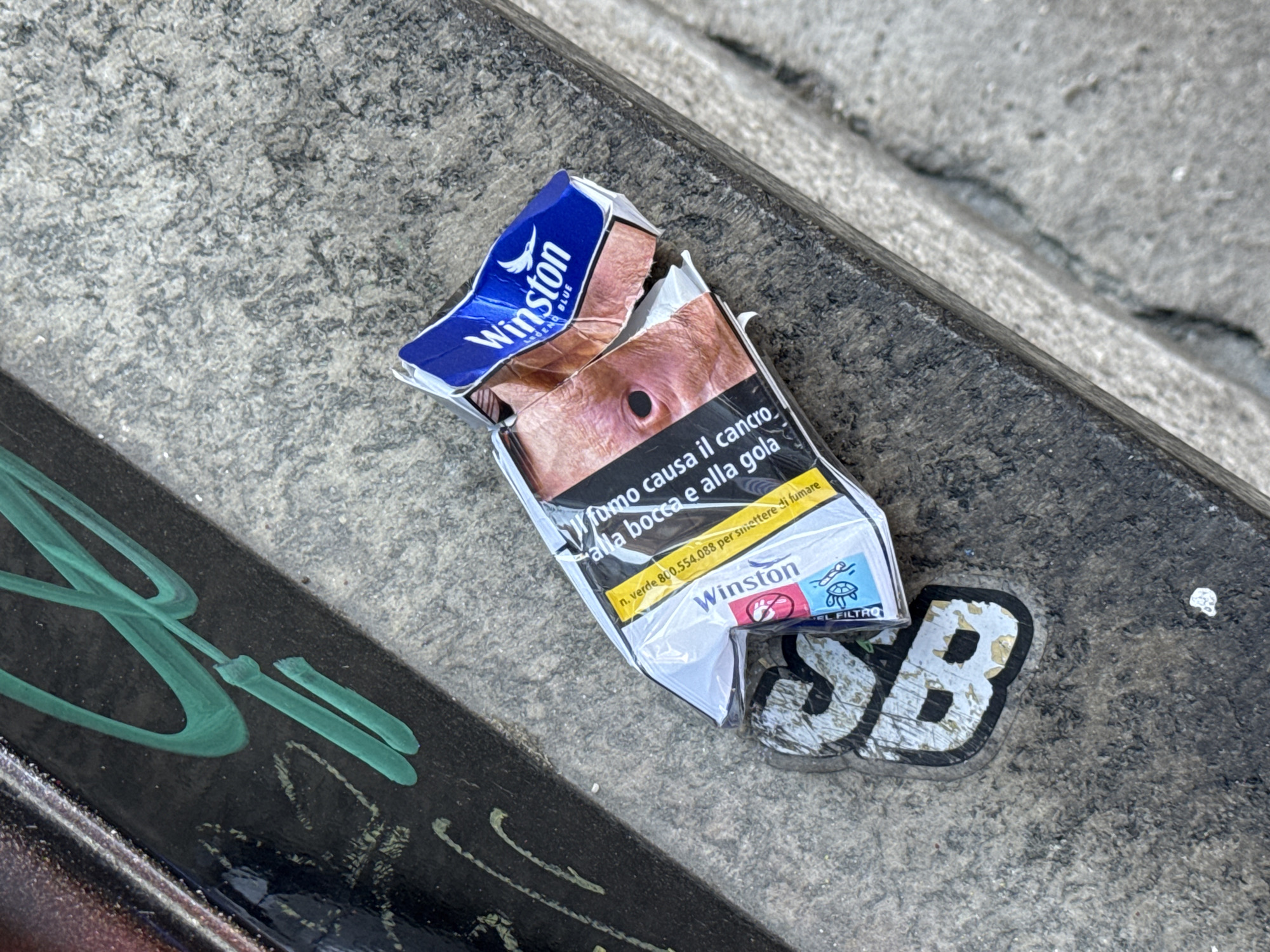Milan street art and urban wildlife documented during morning walk