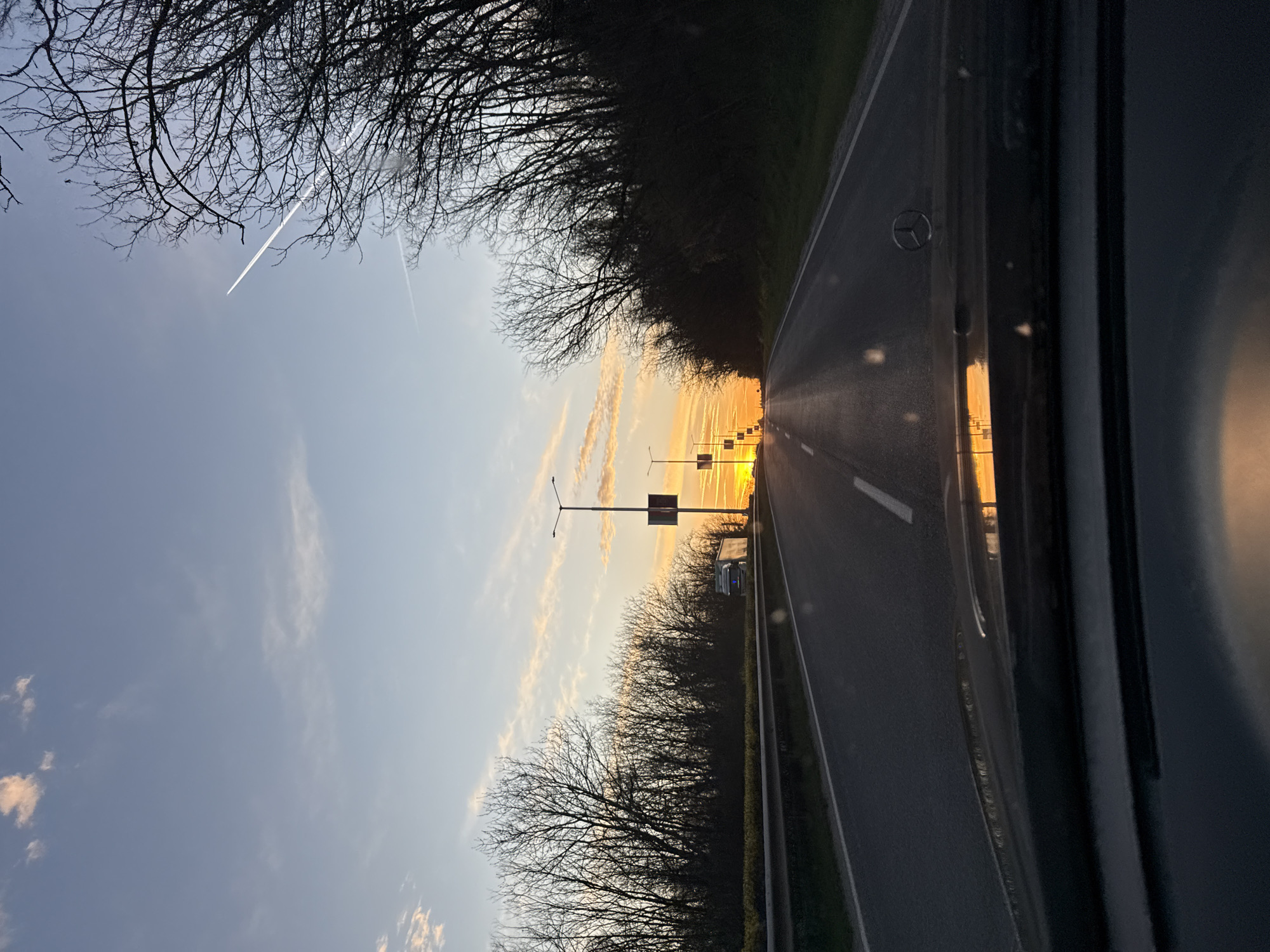 Tree-lined road captured from vehicle in Ledenik, Bulgaria