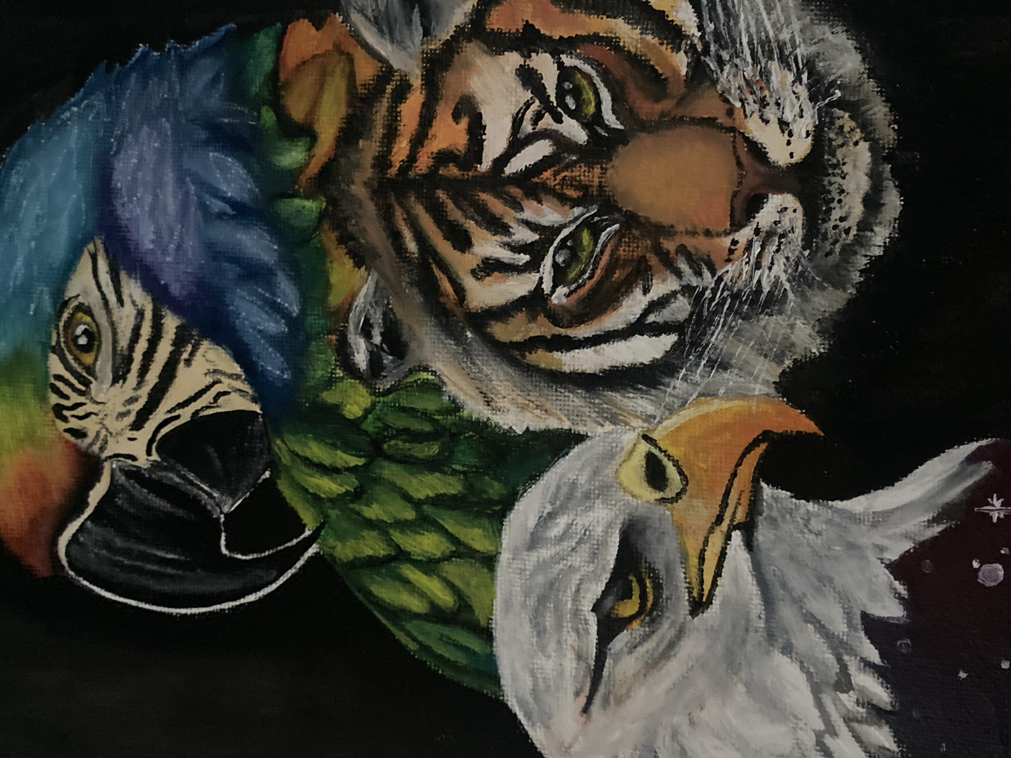 Art gallery visit documented in Tinaquillo, Venezuela