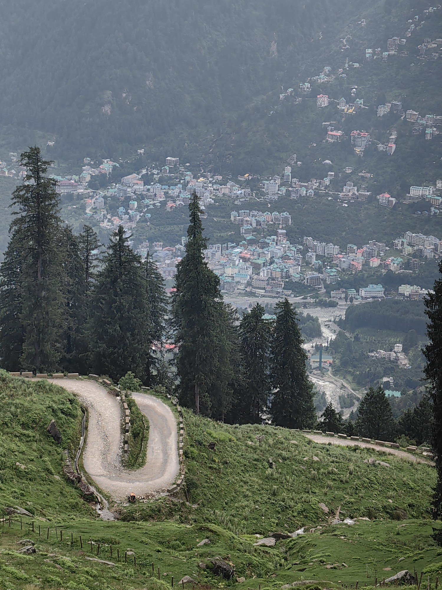 Switchback mountain road and raptor in Siumsa pine forest