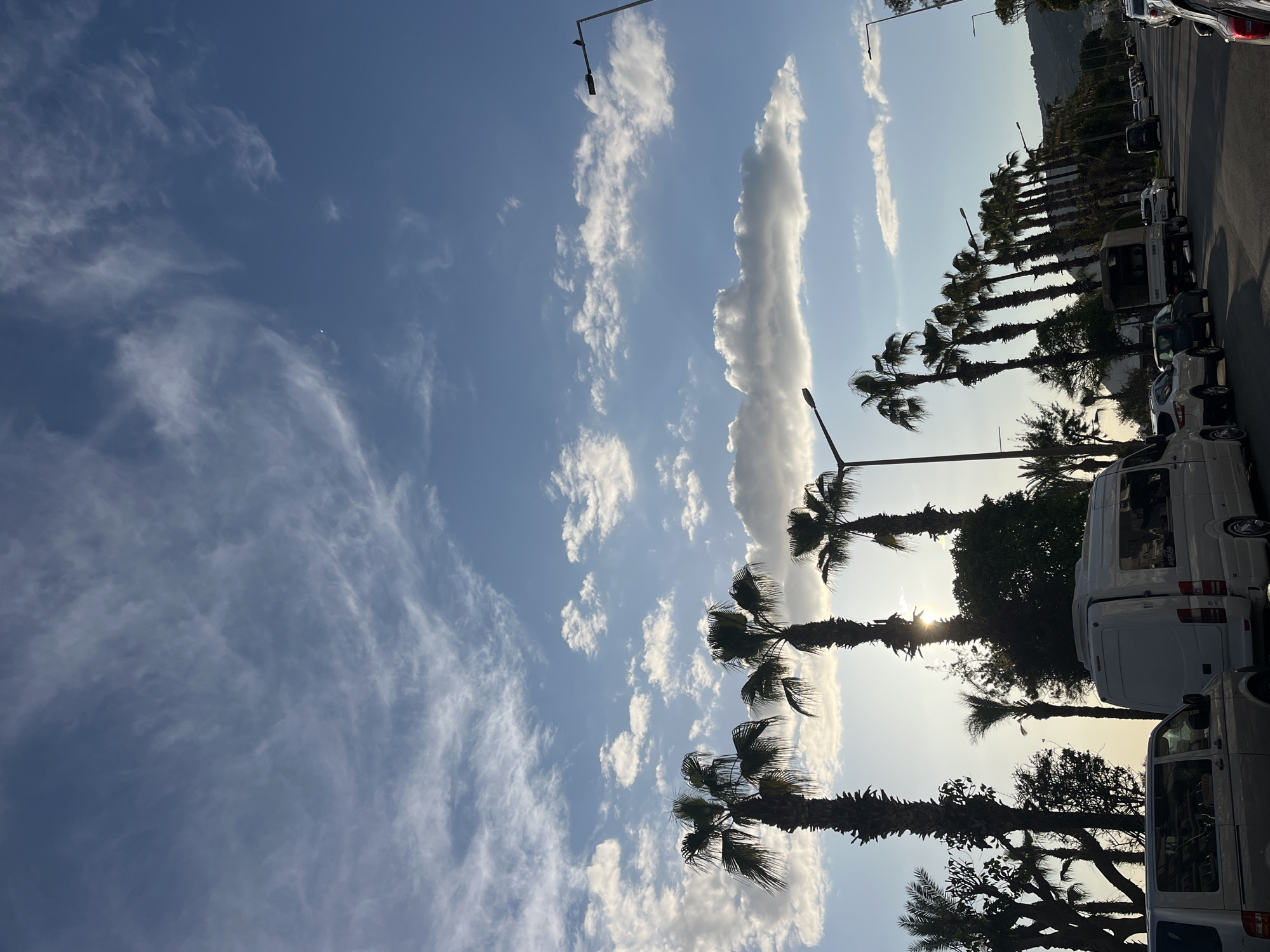 Spring afternoon scenes captured along Alanya's palm-lined streets