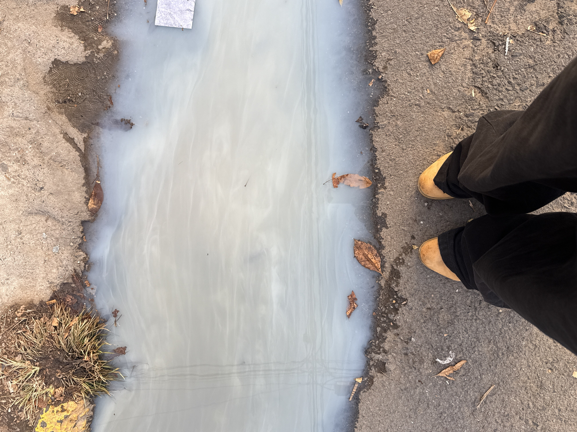 Milky liquid puddle observed on Buenos Aires street