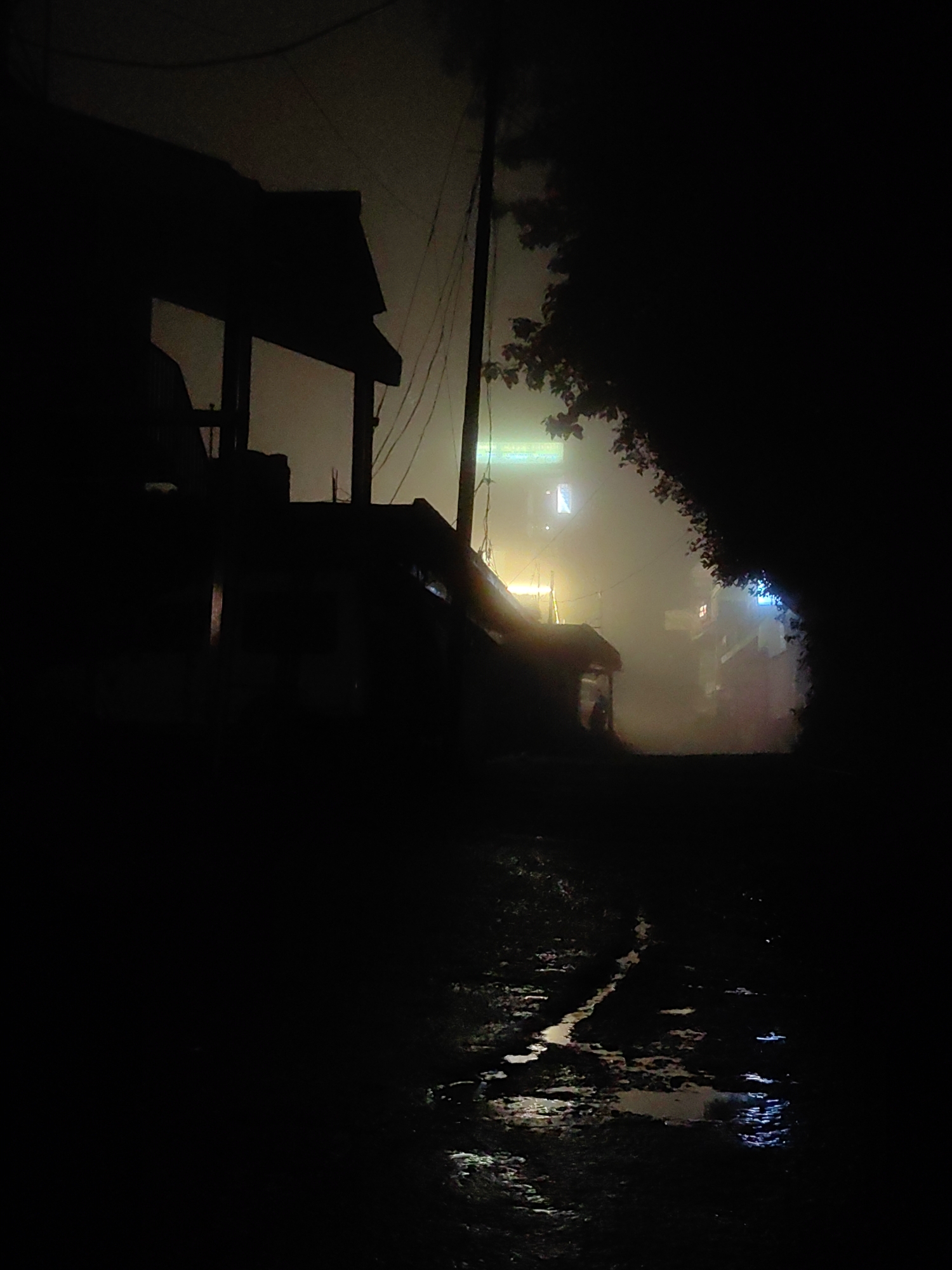 Foggy night settles over Vashisht's lit streets and wet lanes