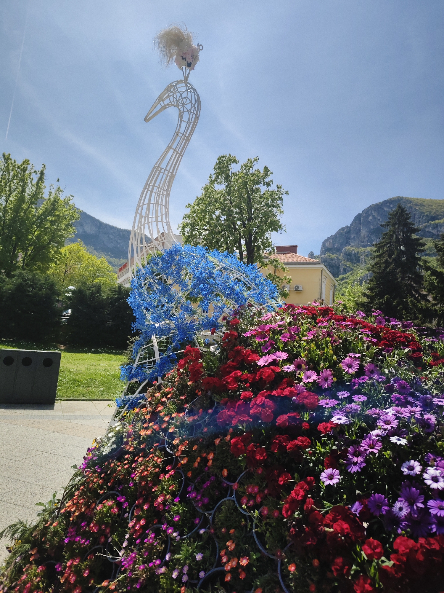 Peacock sculpture, flower beds spotted in Vratsa park