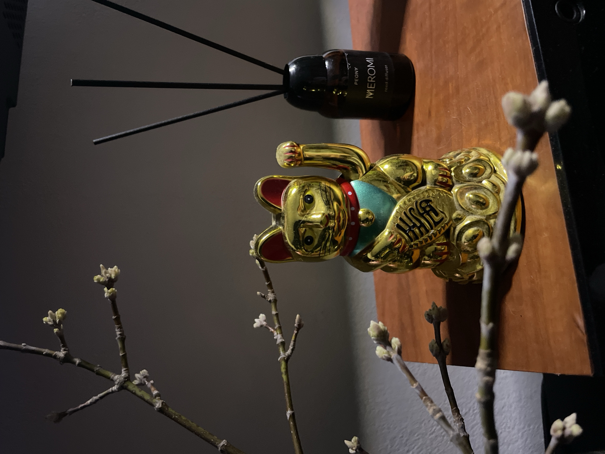 Decorative still life arrangement spotted in Chaikovsky, Russia