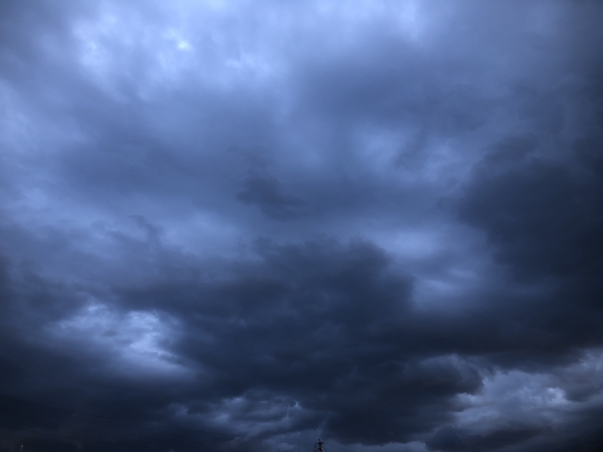 Stormy skies, a sunset, and a cat's direct gaze