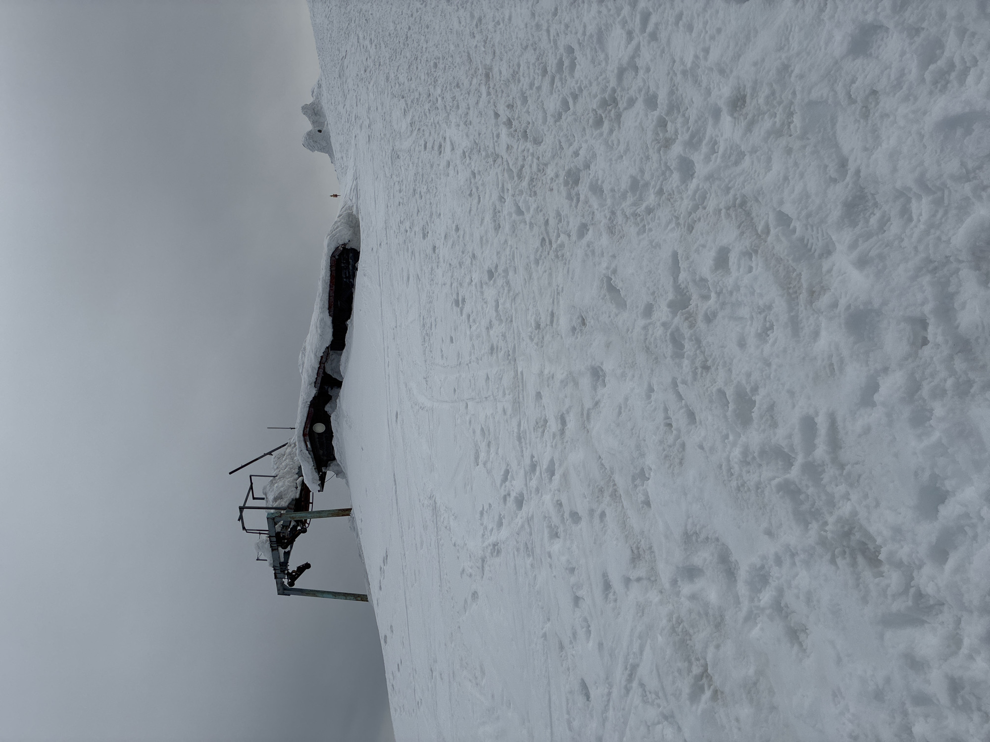 Skiers spotted on snowy slopes in Bistritsa, Bulgaria