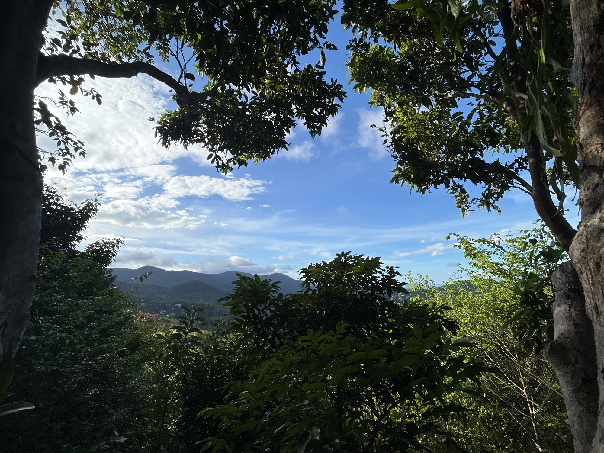 Daytime mountain landscapes photographed in Koh Phangan, Thailand