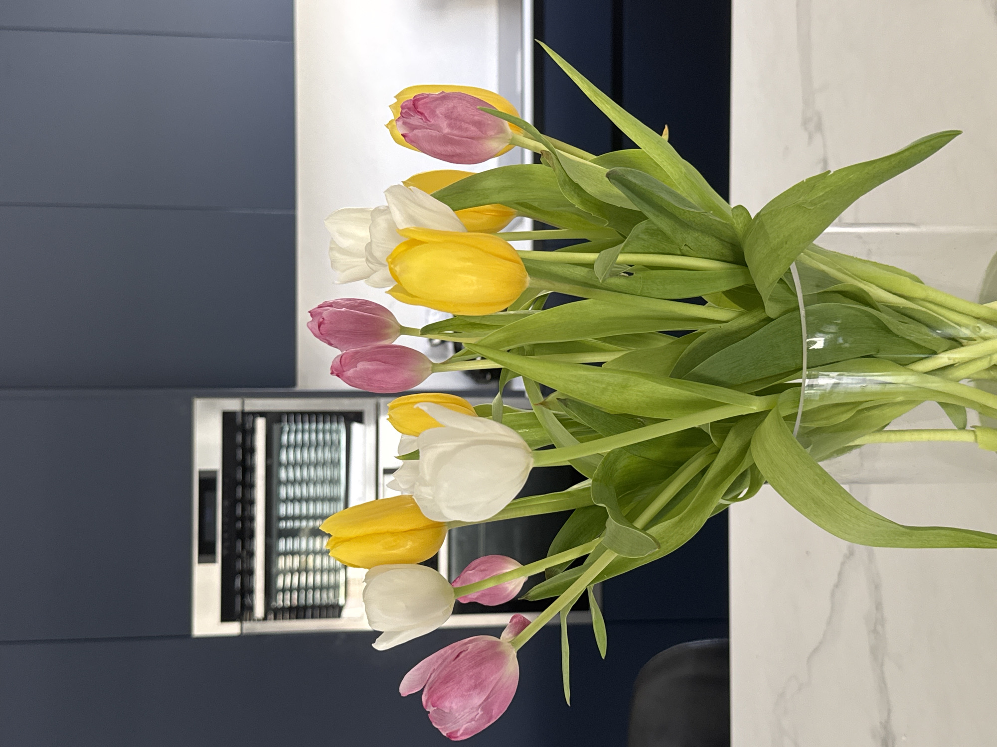 Colorful tulip bouquet observed on marble counter in Ariel