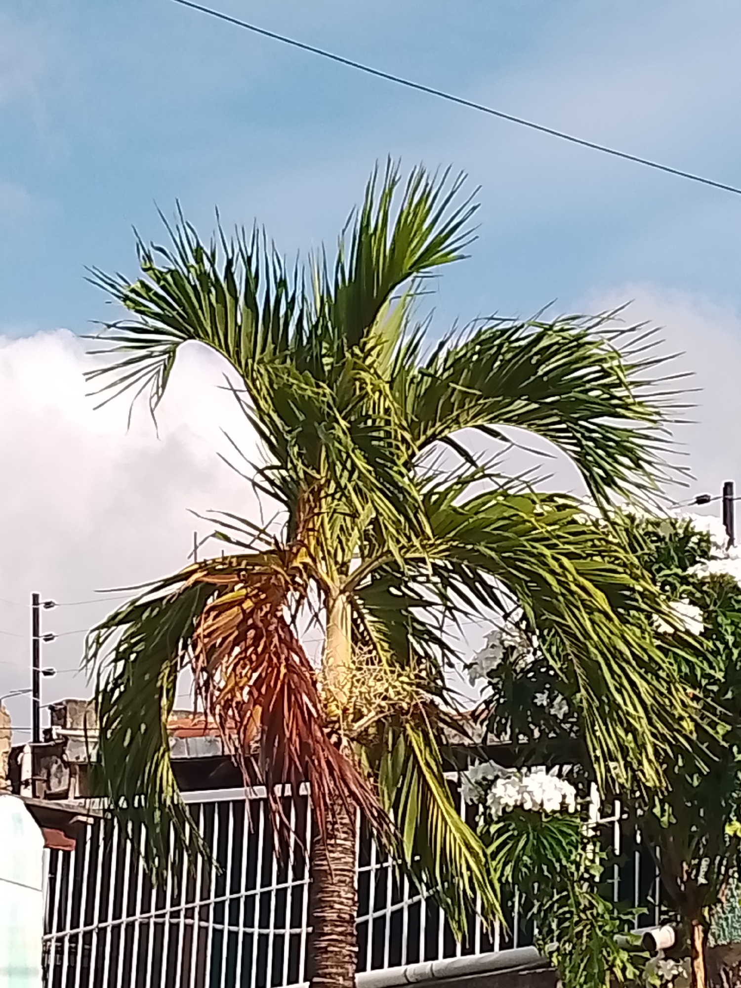 Evening snapshots document daily life in Altagracia, Venezuela
