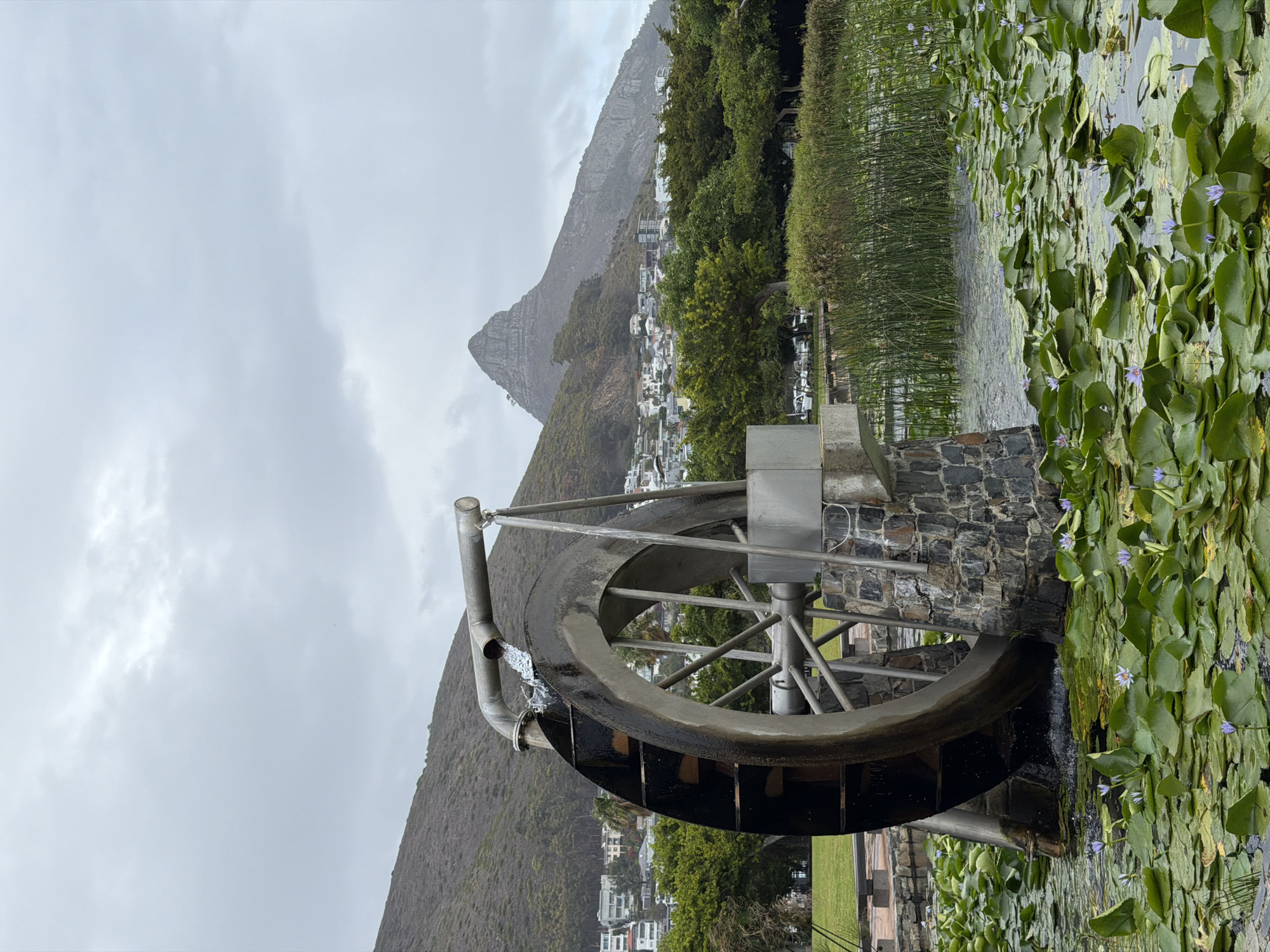 Visitor documents Cape Town park featuring water wheel, pond, wildlife