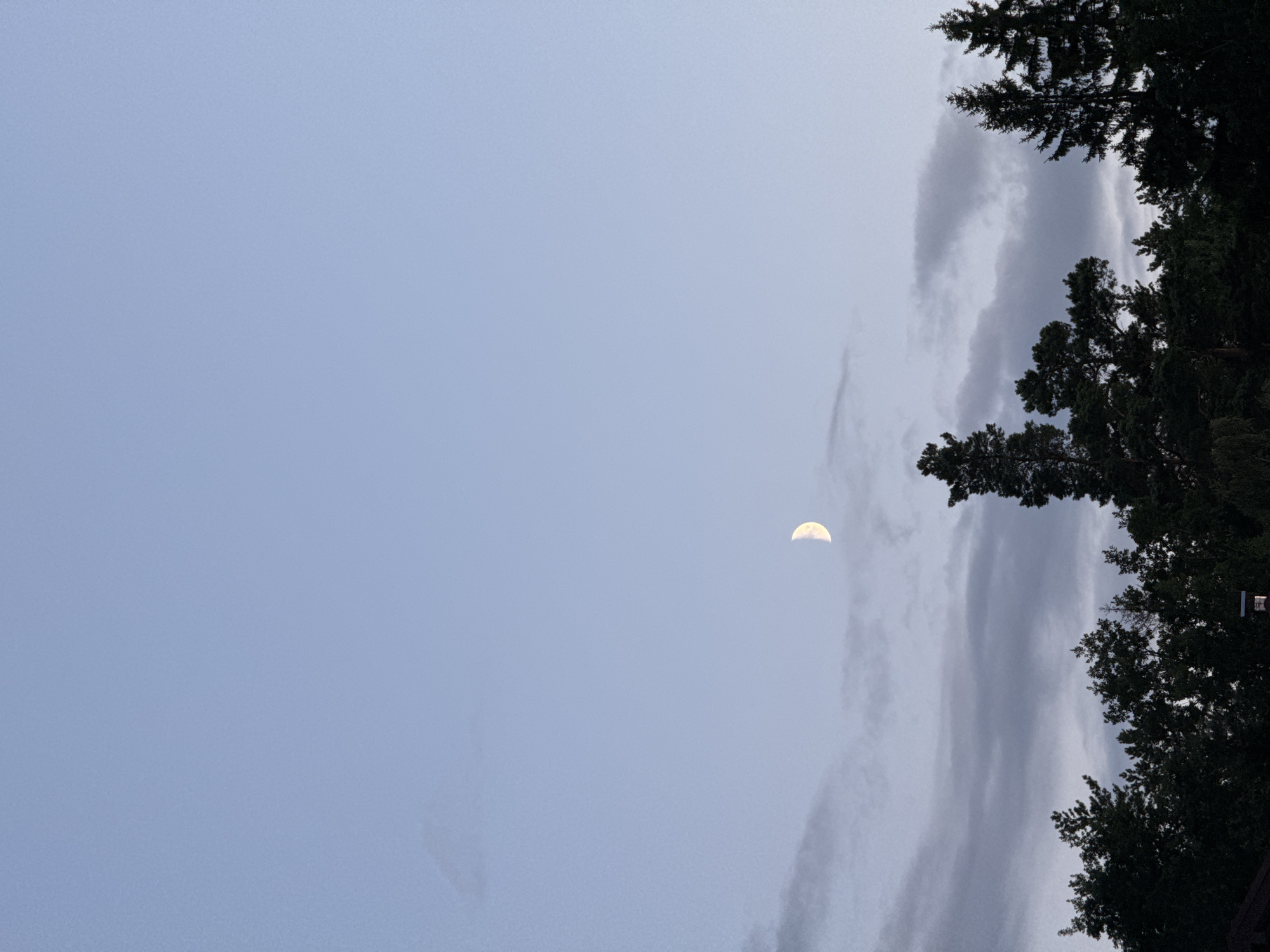 Crescent moon rises over a forested treeline in rural Belarus