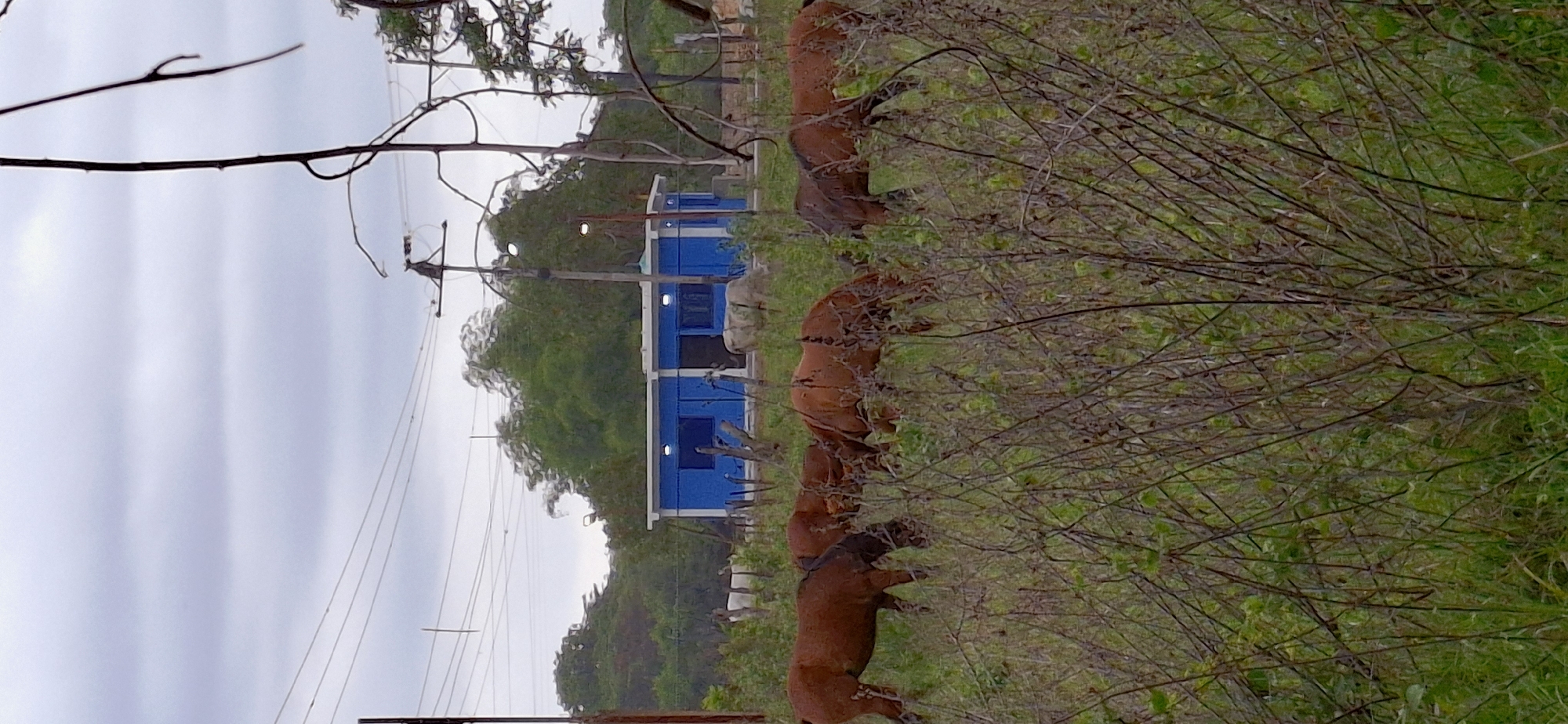 Rural life documented in Venezuelan farming community Vallecito