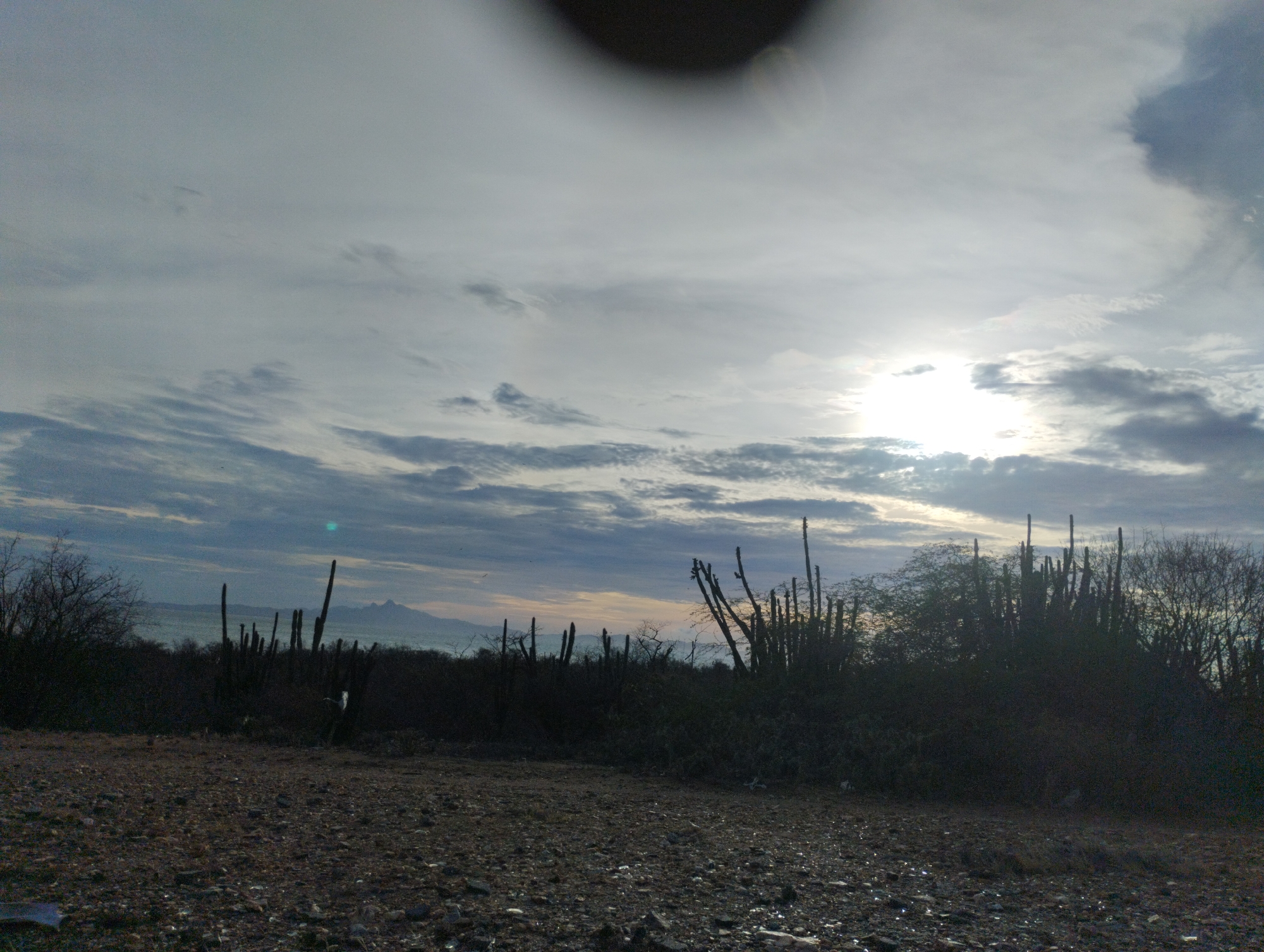 Venezuelan coastal landscape documented in La Guardia