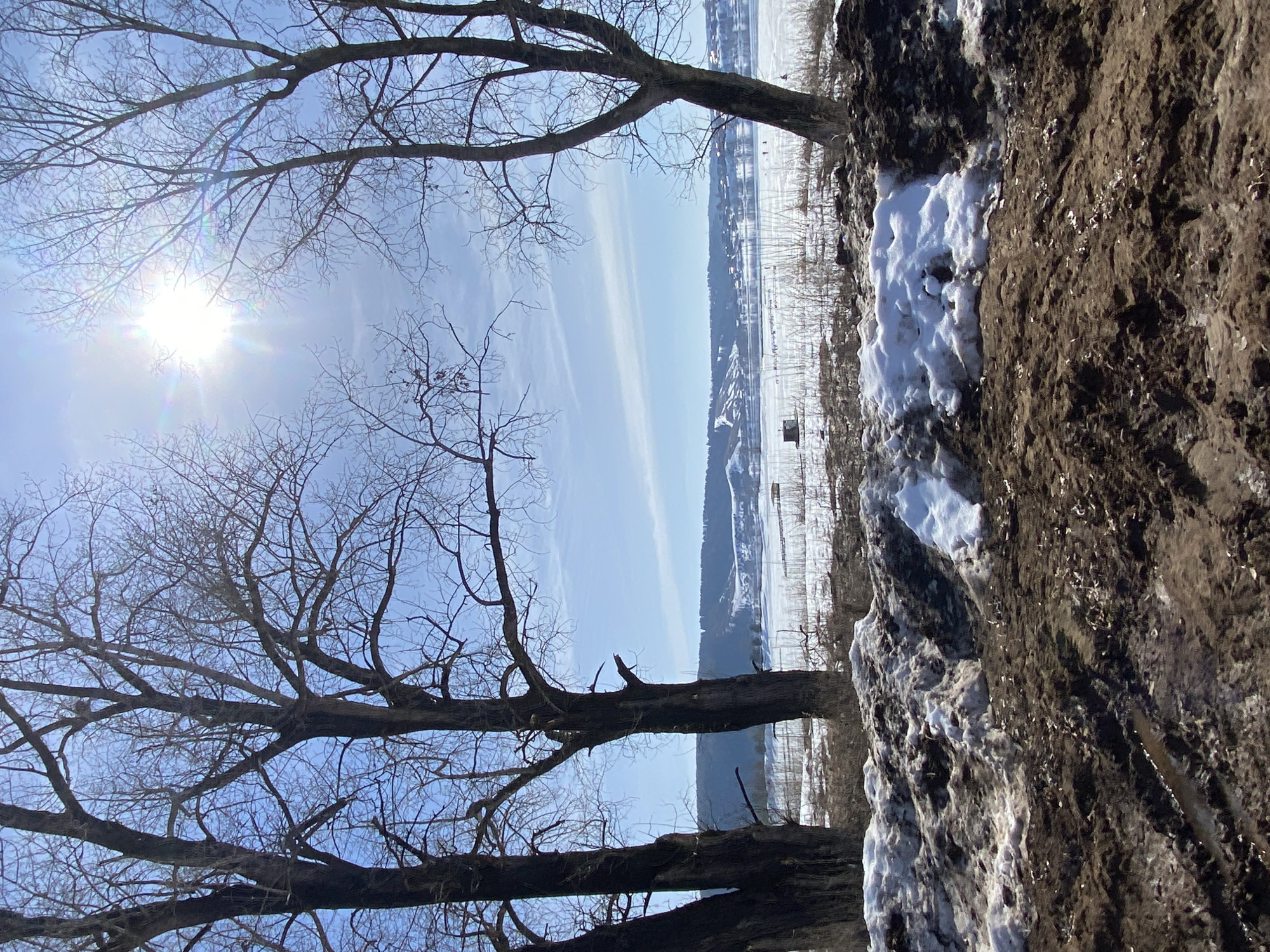 Winter morning scene captured in Noviy, Russia
