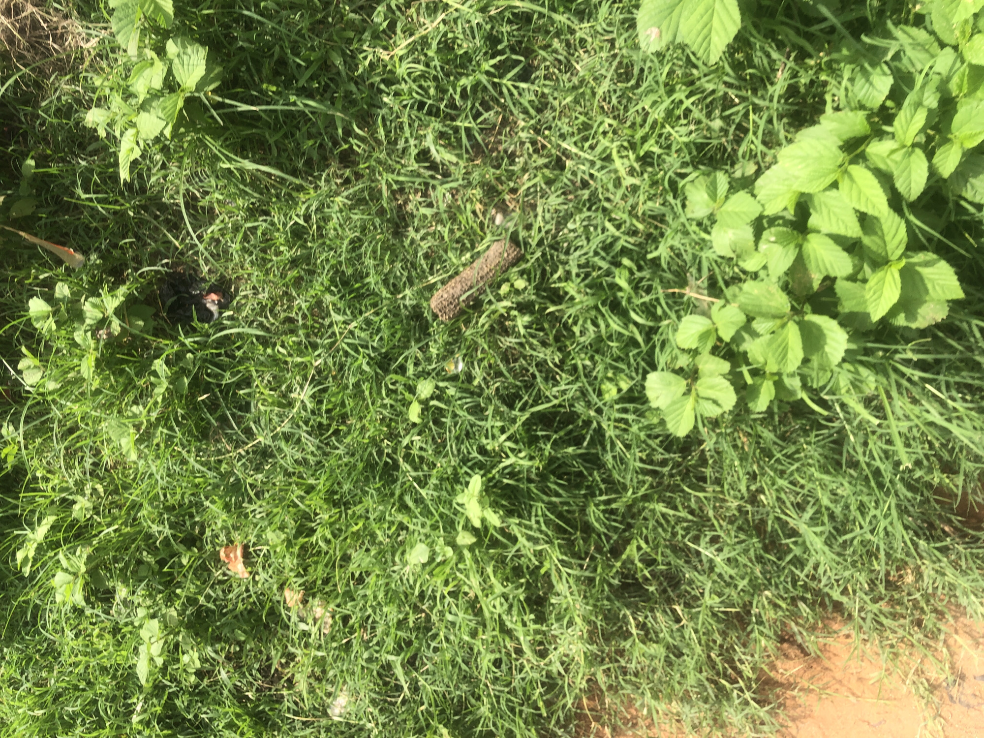 Everyday moments documented across Jalingo, Nigeria over afternoon hour