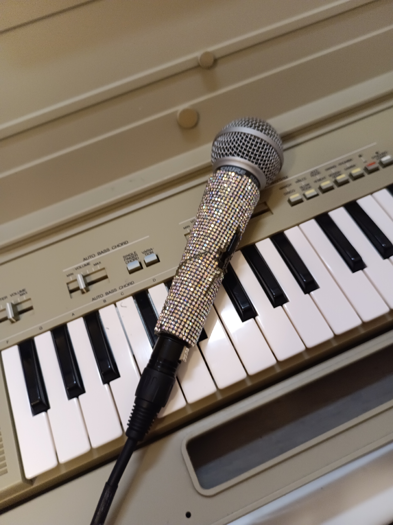 Audio session setup with mics, speakers, and editing software in Évreux