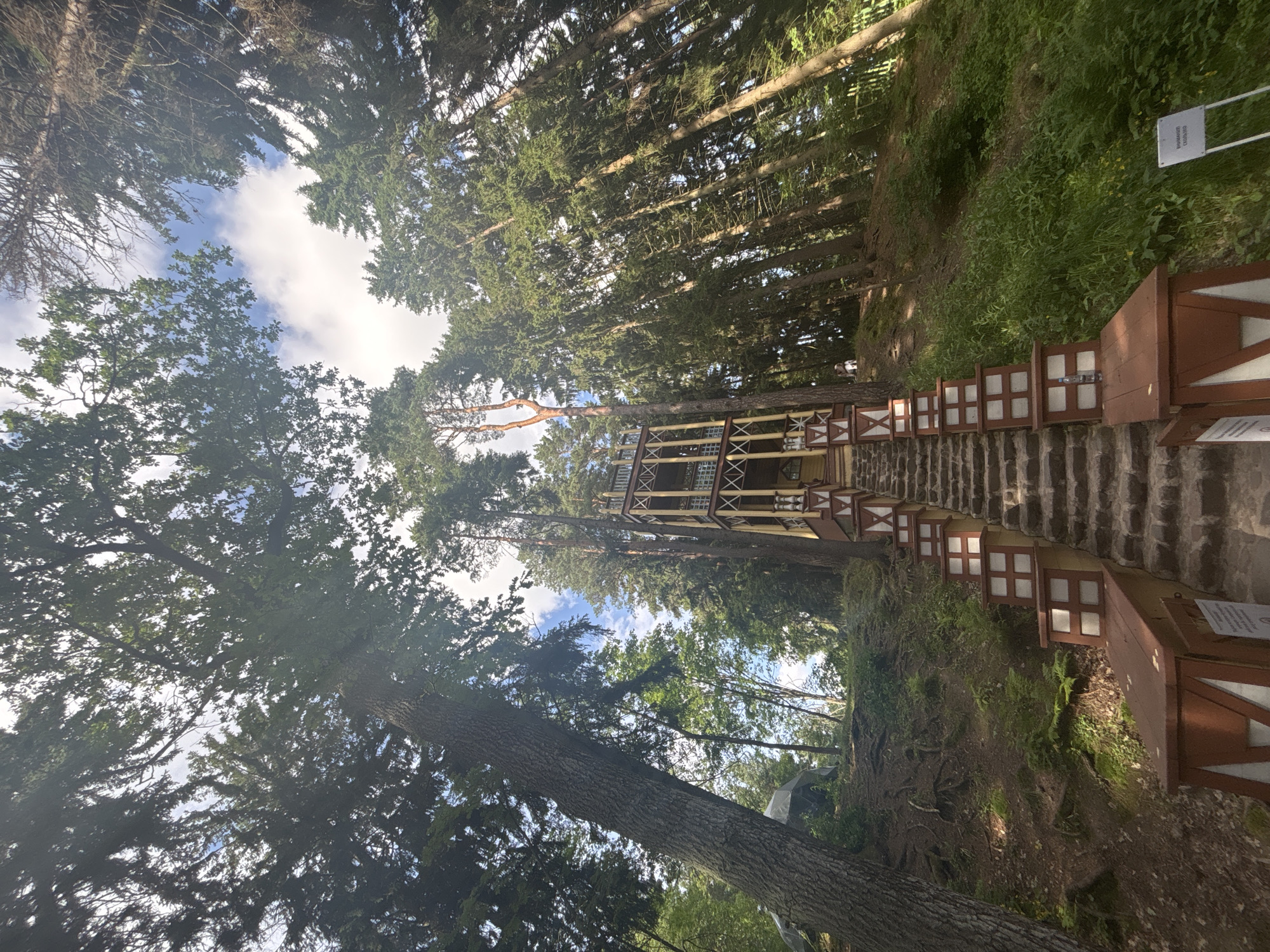 Quiet afternoon in Repino's forested park and surroundings