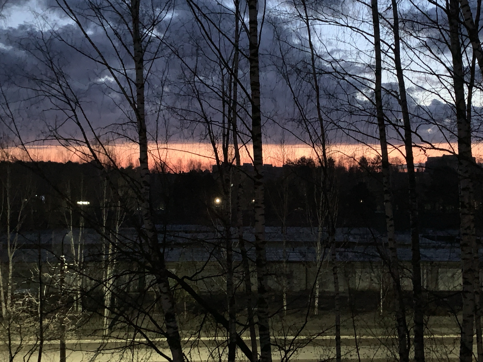 Dramatic twilight sky captured over bare trees in Chaikovsky