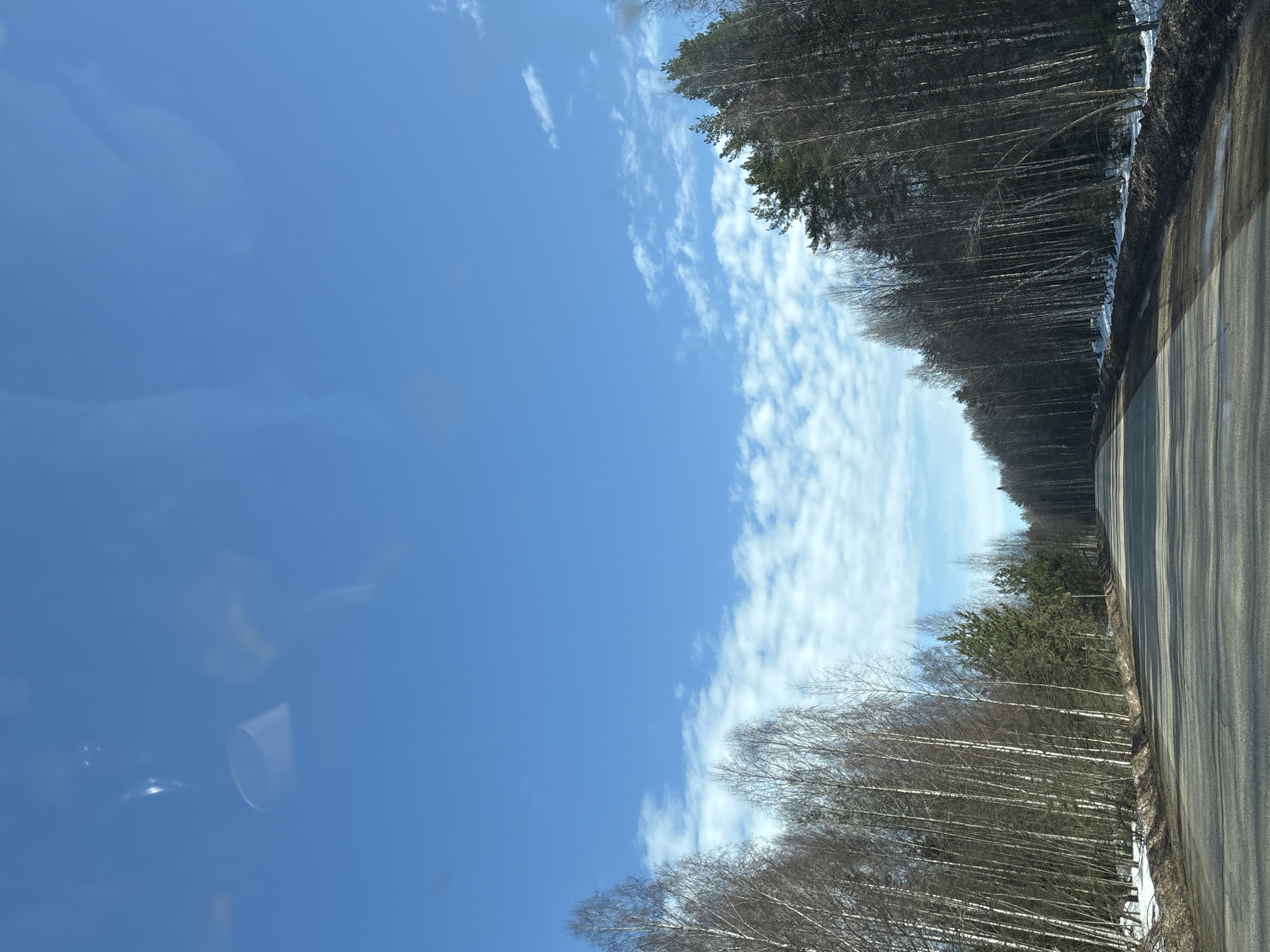 Rural road through forest documented in Markovo, Russia