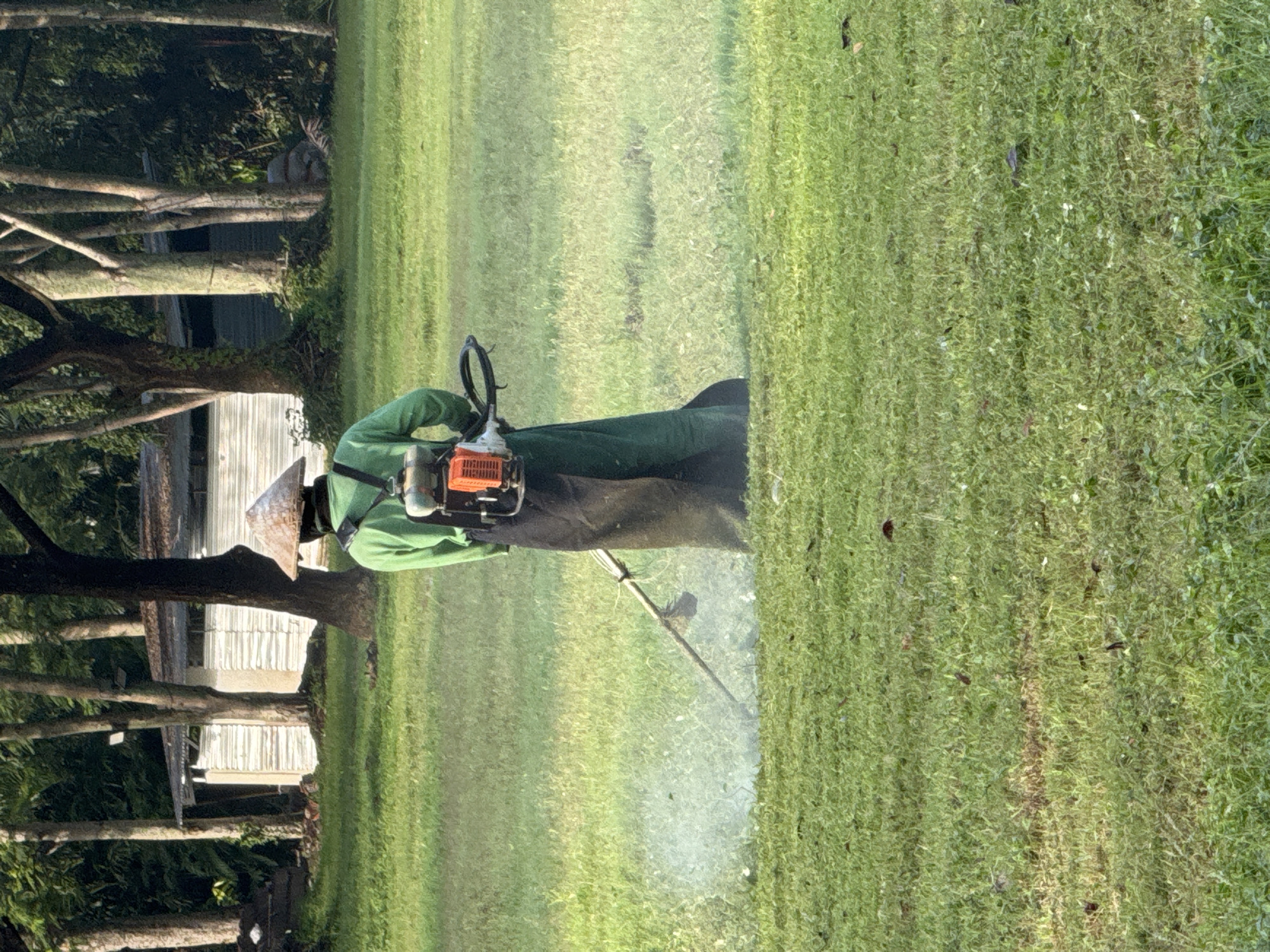 Grounds maintenance work and resting dog observed in Kuta Selatan