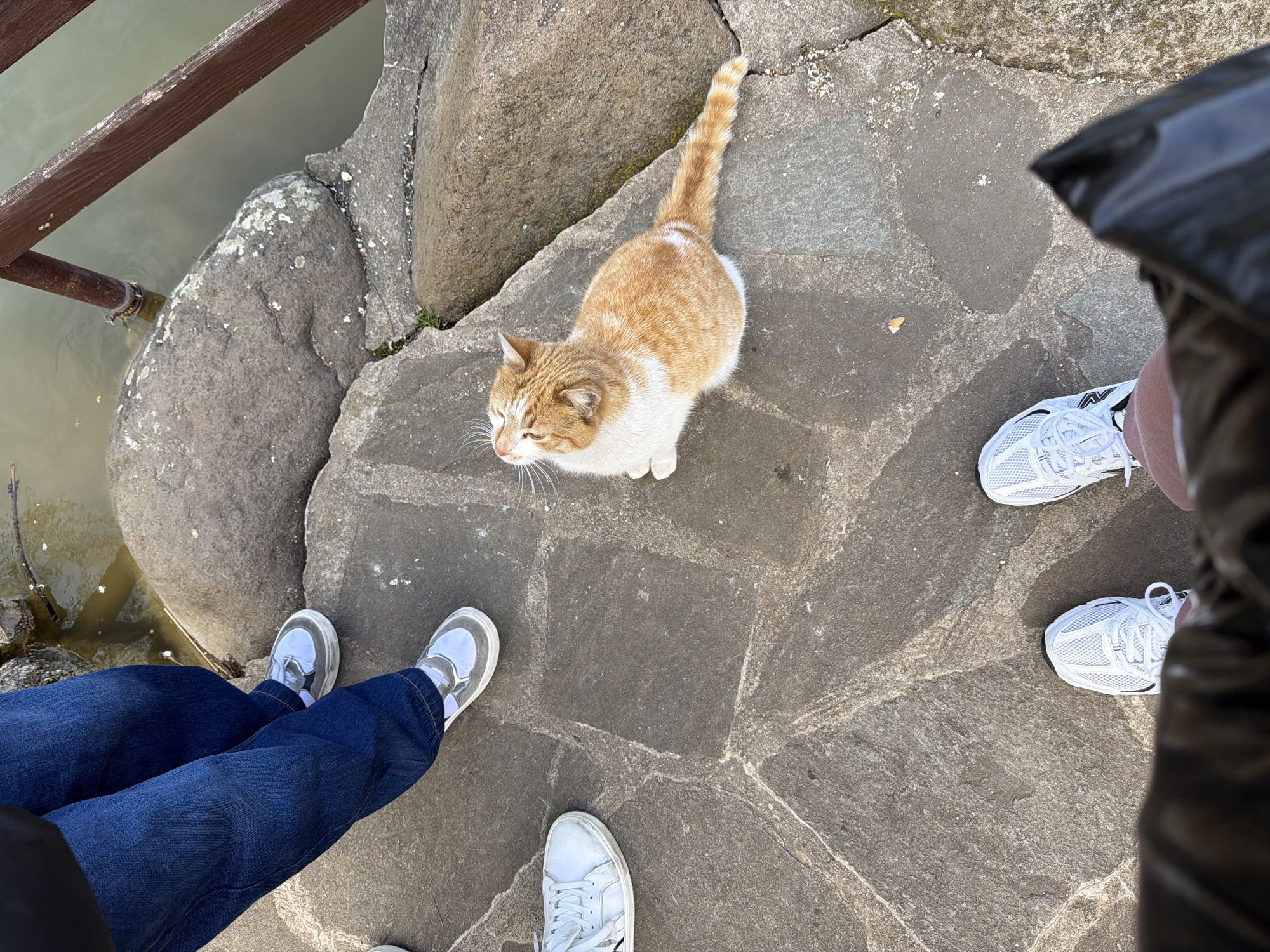 Visitors interact with animals at Ginovci park facility