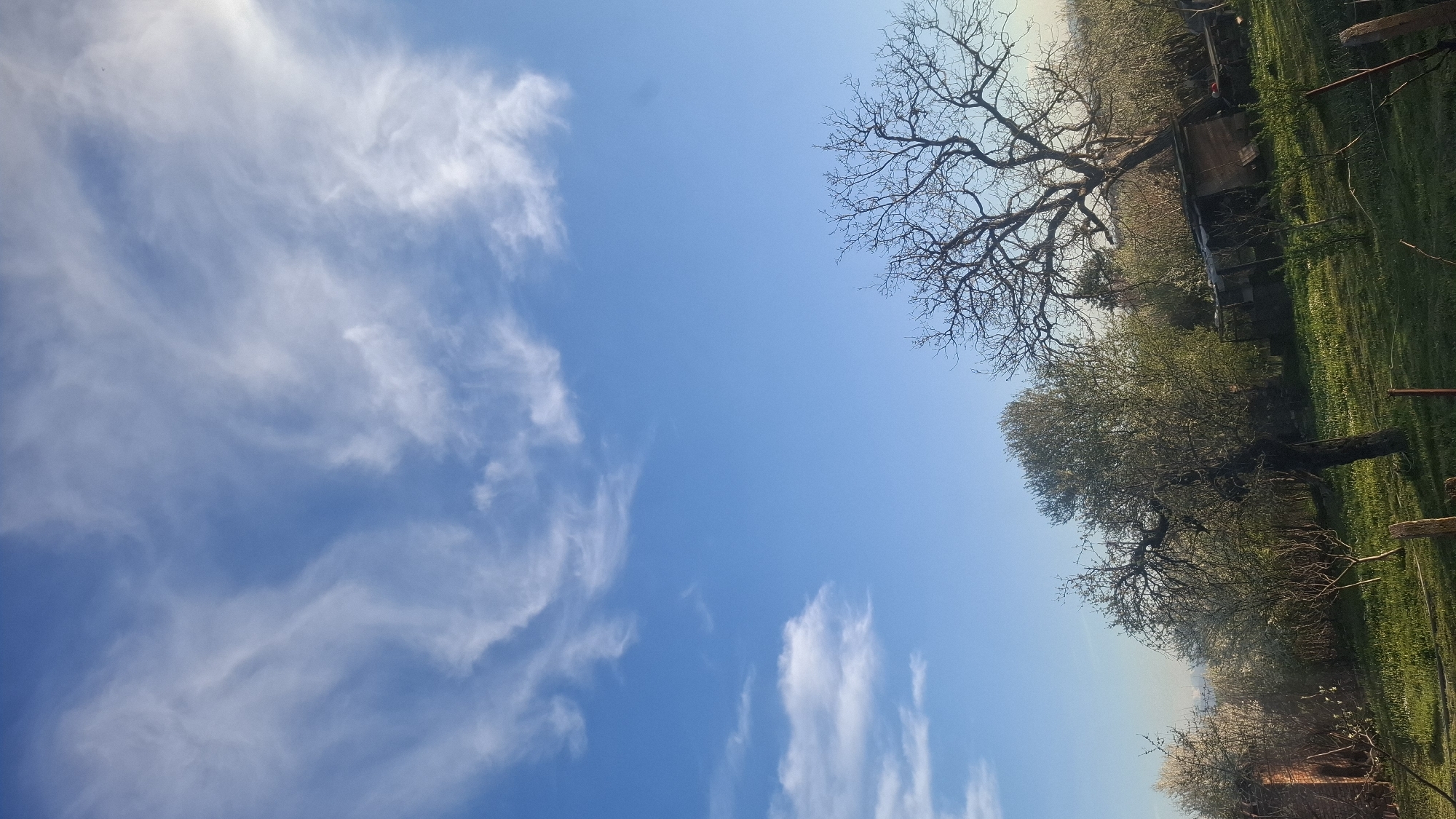 Spring landscape and teddy bear observed in rural area