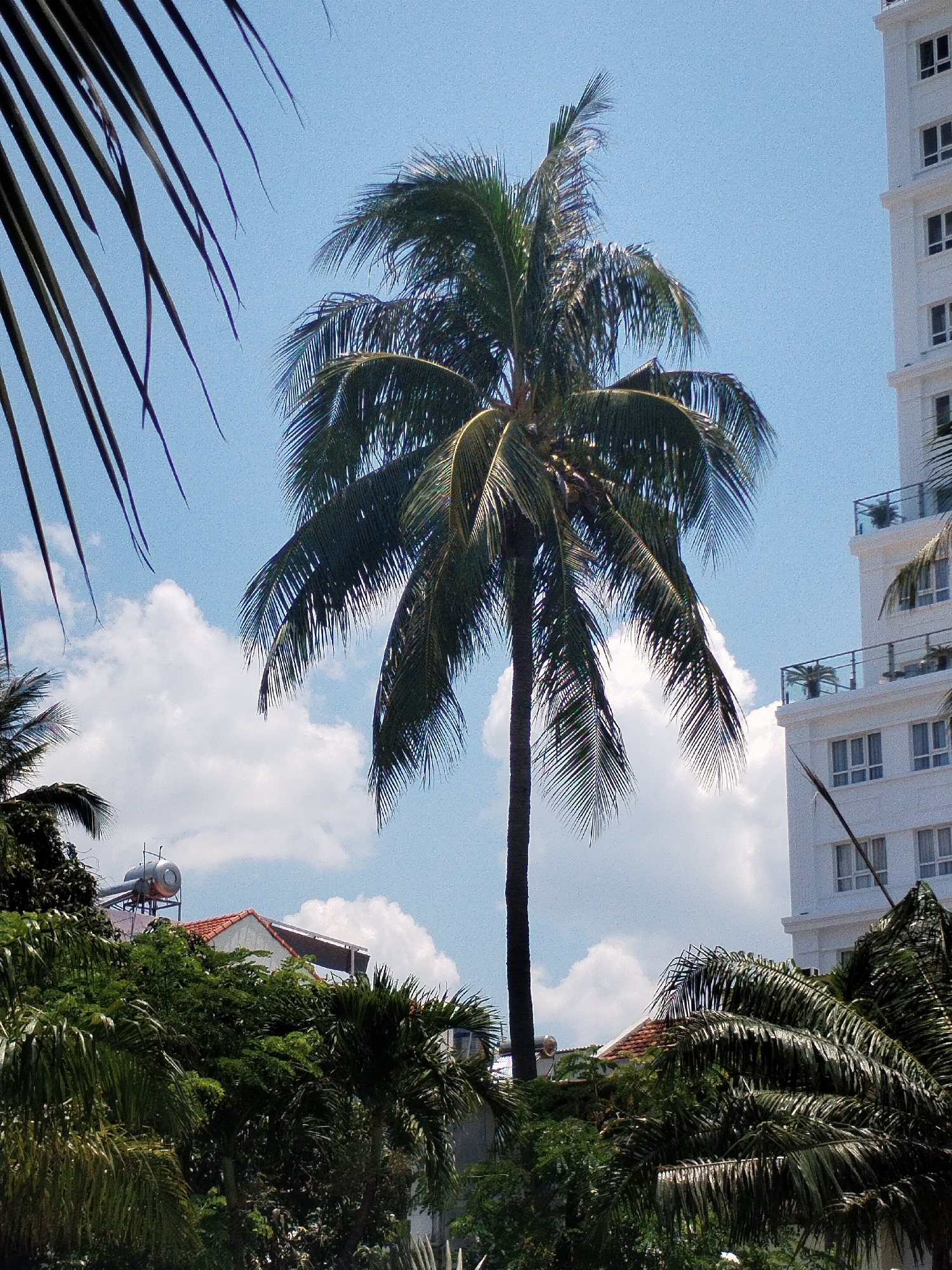 Morning documentation of Nha Trang beachfront and streets captured