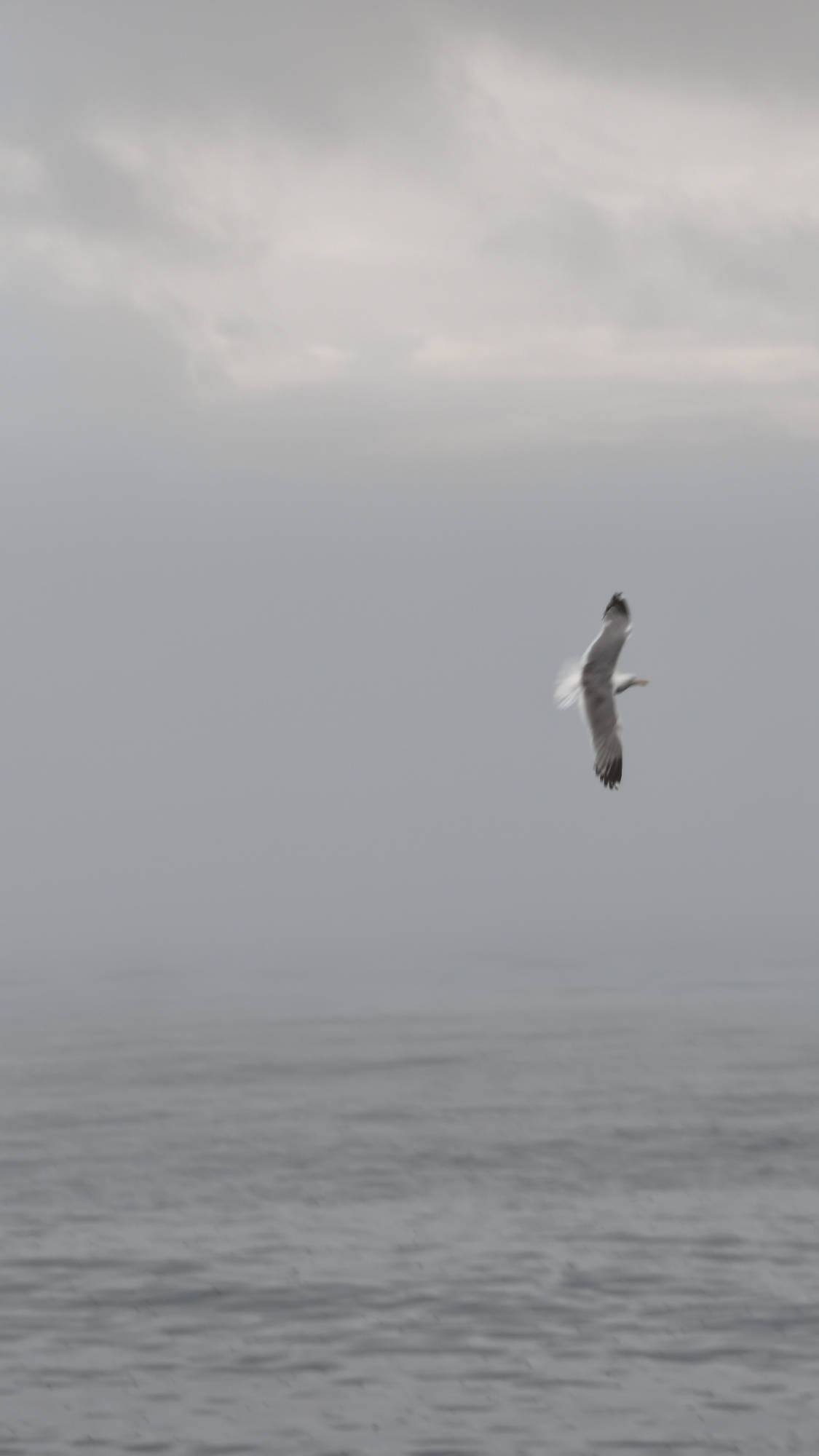 Foggy morning on the Lake Baikal waterfront in Listvyanka