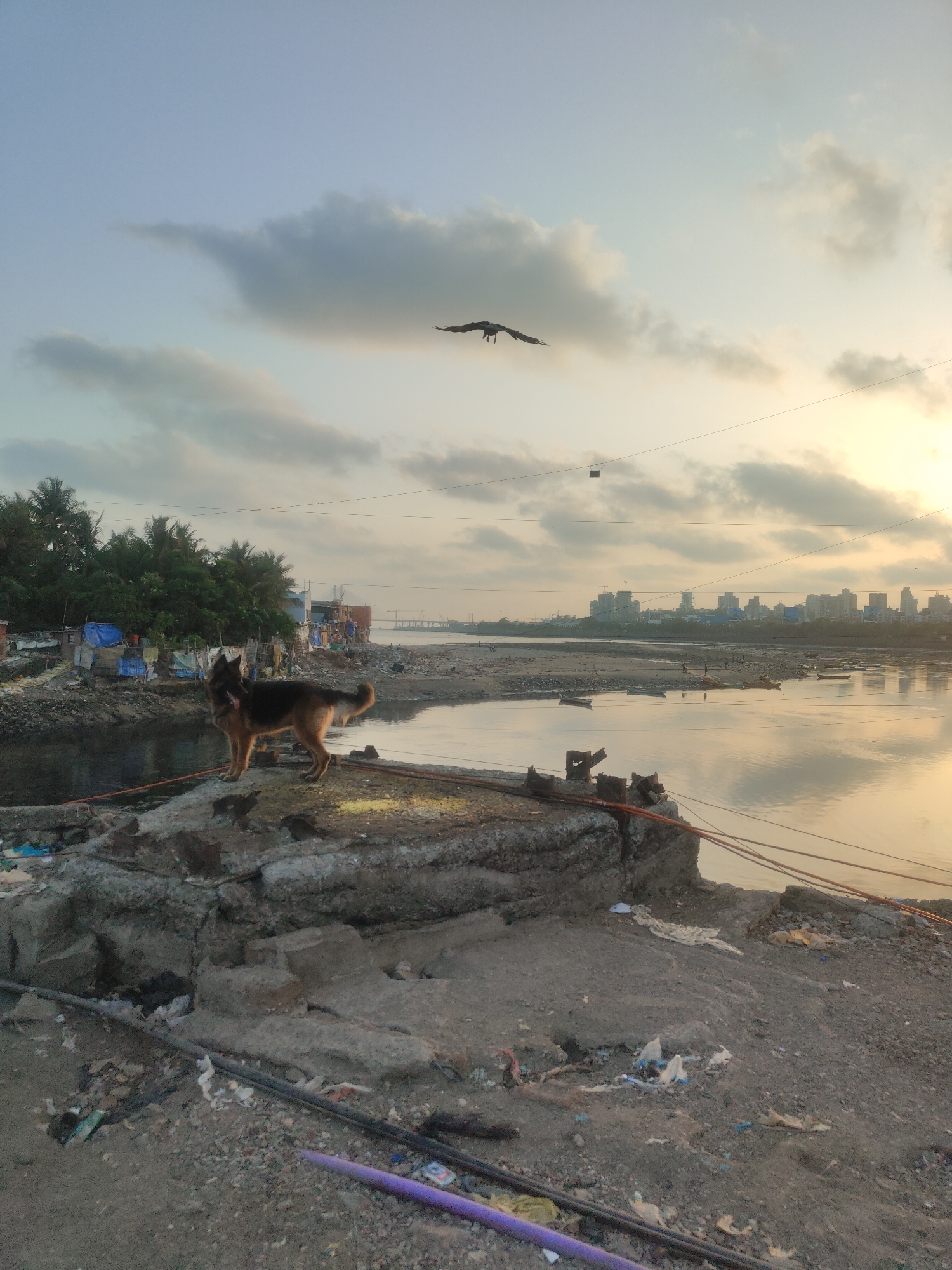 Mumbai landmarks documented in golden hour photography session
