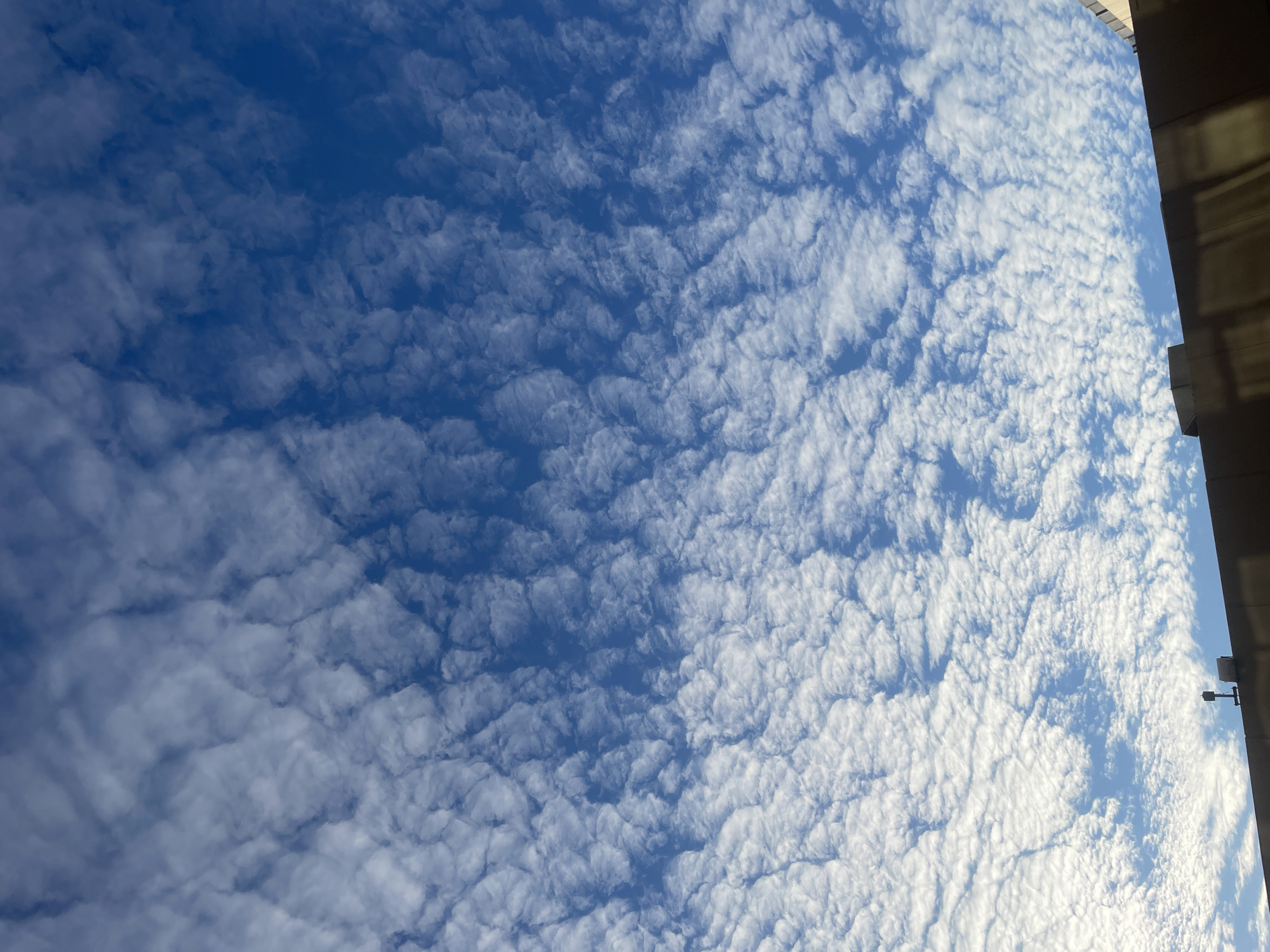Rippled altocumulus clouds over Brisbane rooftops