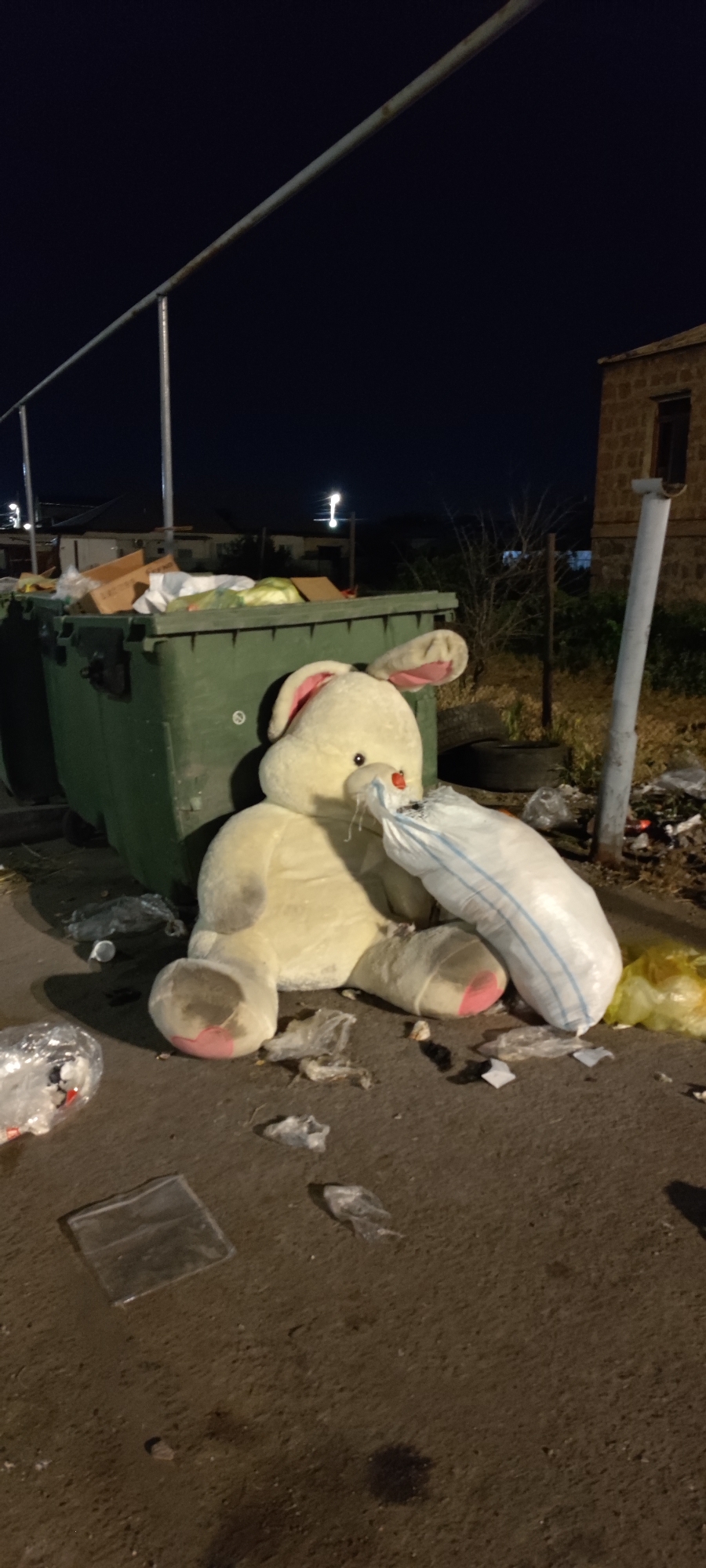 Stuffed bunny found abandoned among trash in Yerevan street