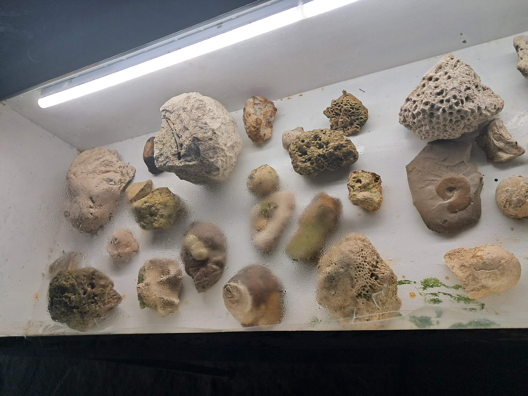 Visitor documents fossils and landscapes in Bulgarian mountain region