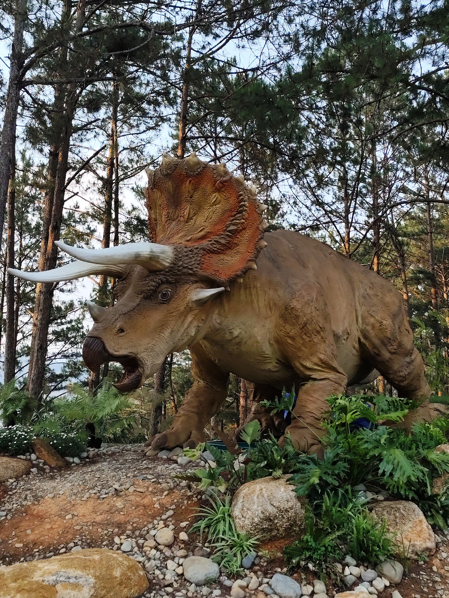 Life-sized Triceratops statue spotted in Da Lat forest park