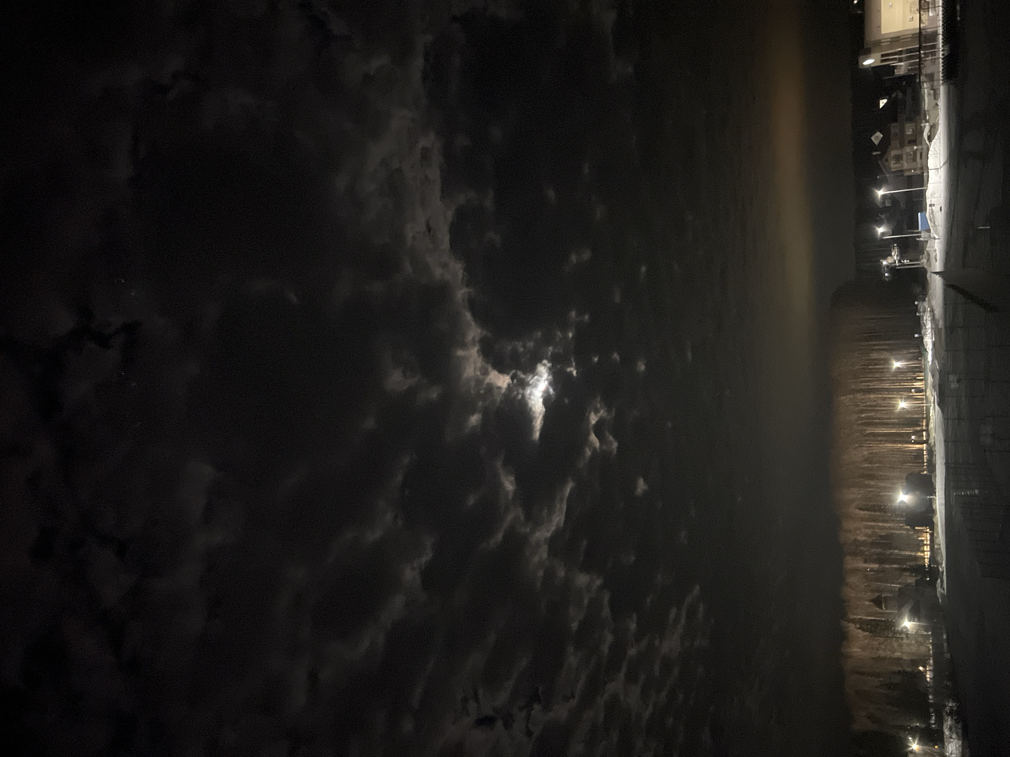 Cat feeding session and night sky documented in Russia