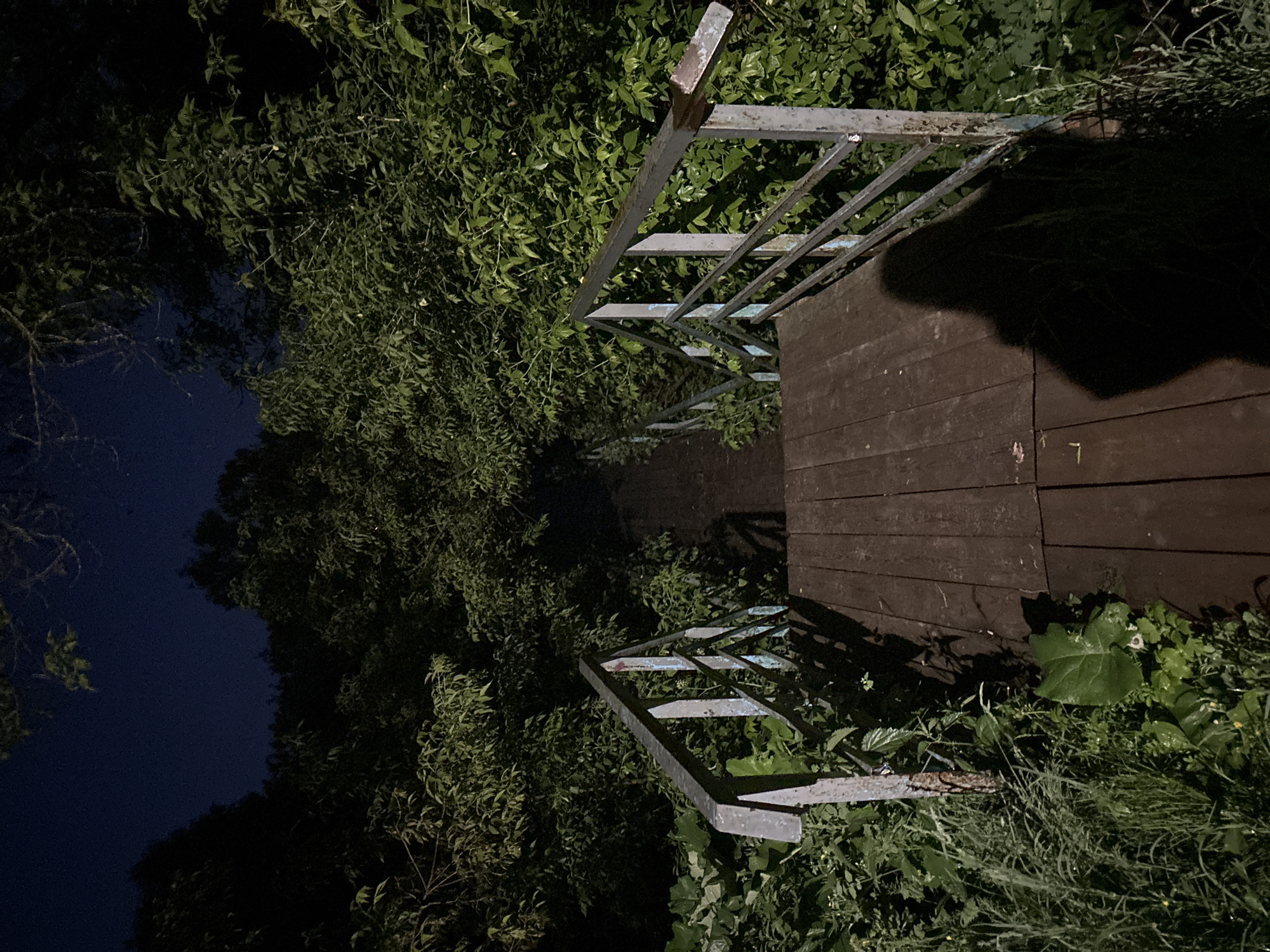 Nighttime walk documented through wooded pathways in Красные Баки, Russia