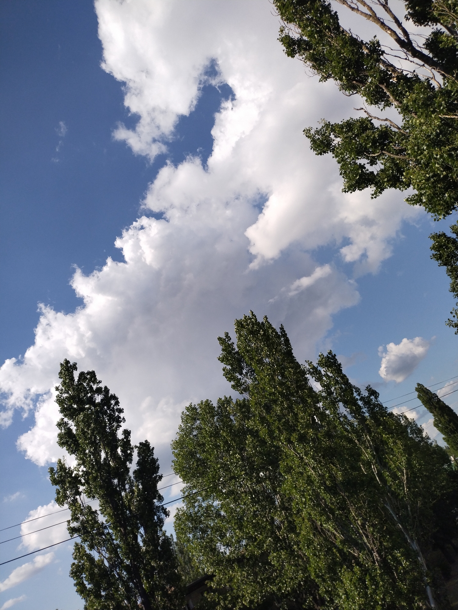 Woman enjoys sunny afternoon in Horishni Plavni residential area
