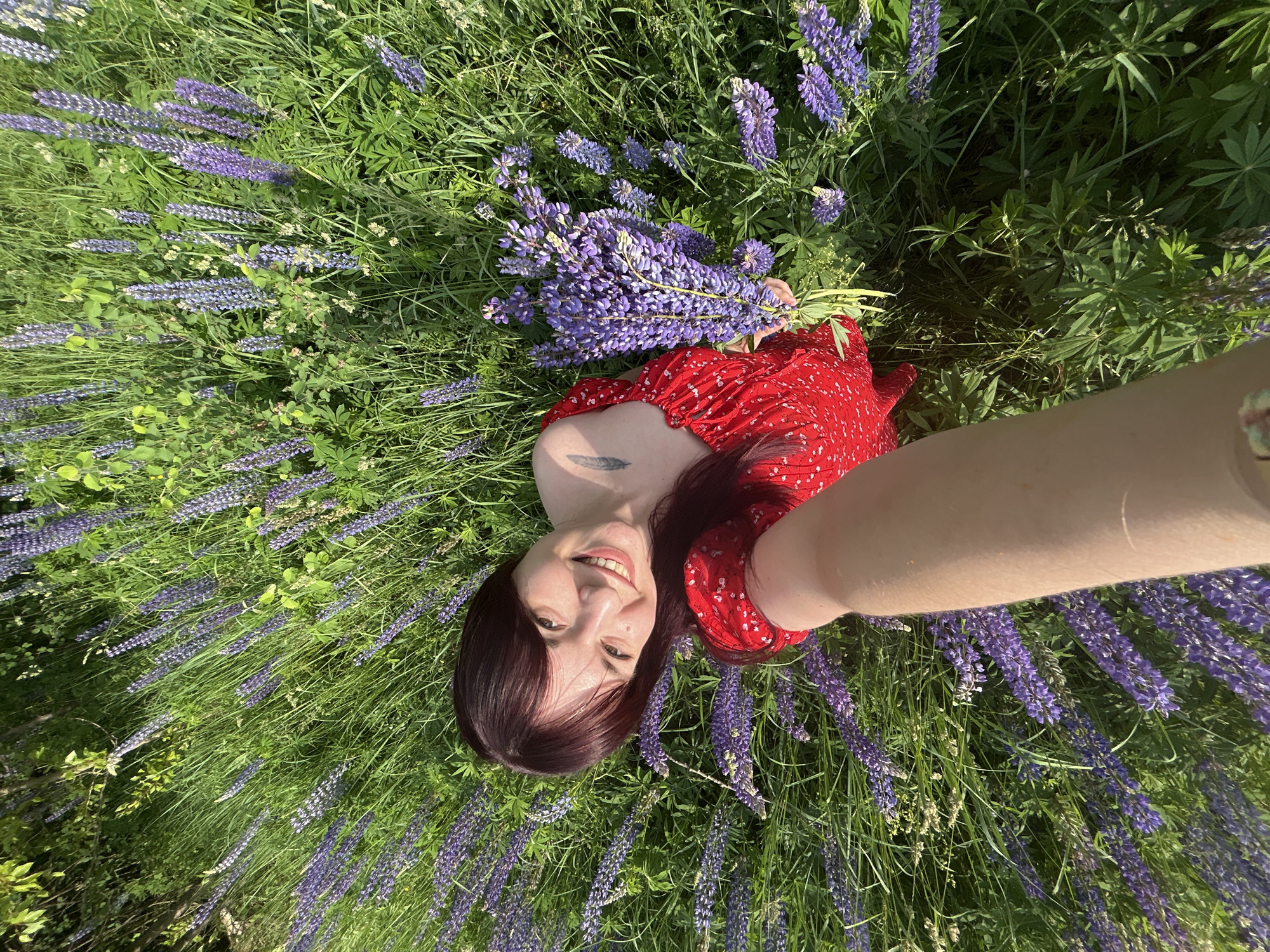 Lupine flower picking trip in Russian countryside