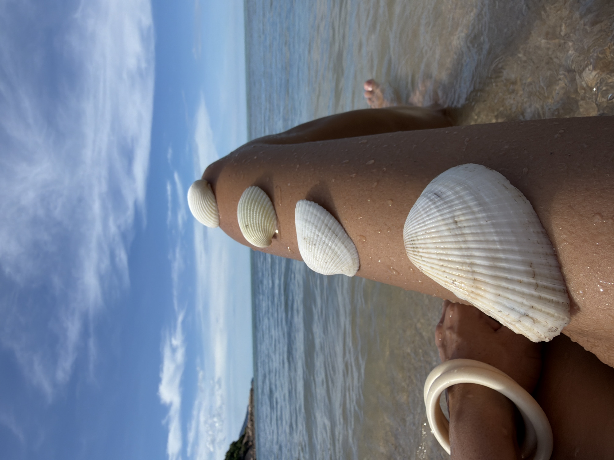 Wine glass, seashells, and shallow water at a Thai beach