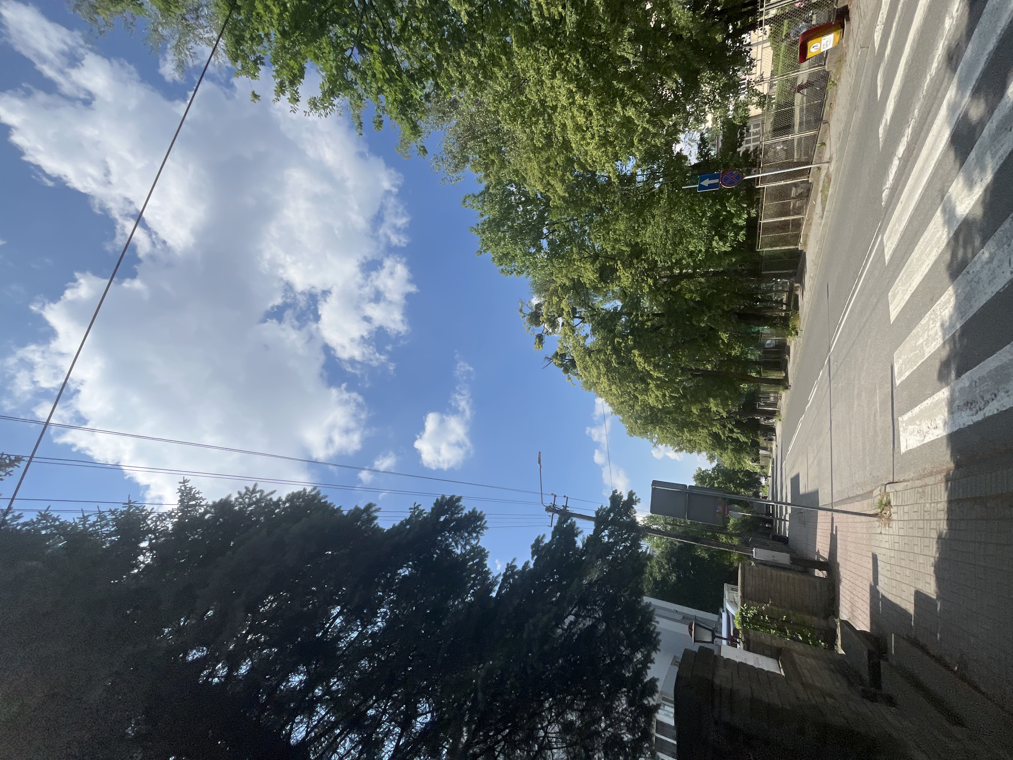 Sunny street scene documented across 18 minutes by witnesses