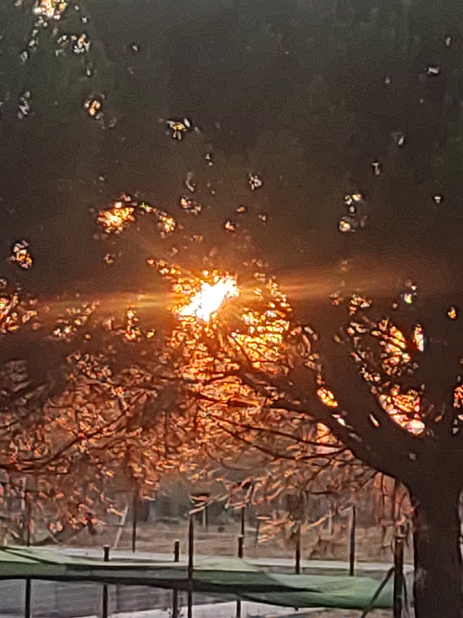 Golden hour photography session in rural Sobradillo, Spain