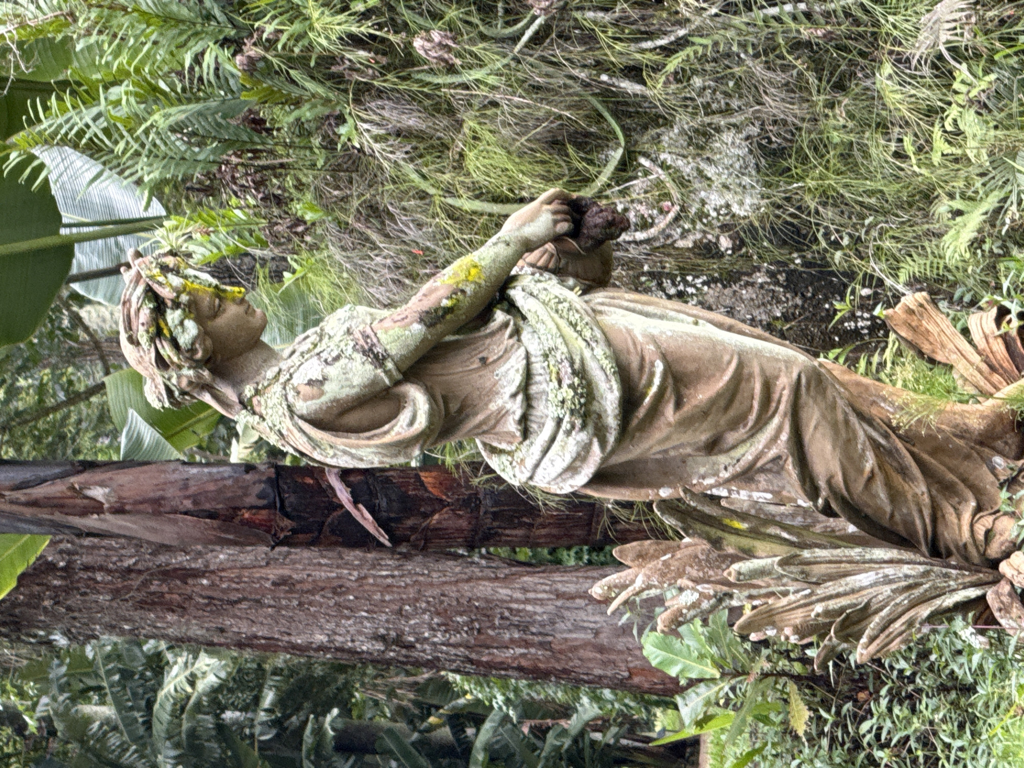 Observer documents Rio wildlife, gardens, Christ statue in 5-minute span