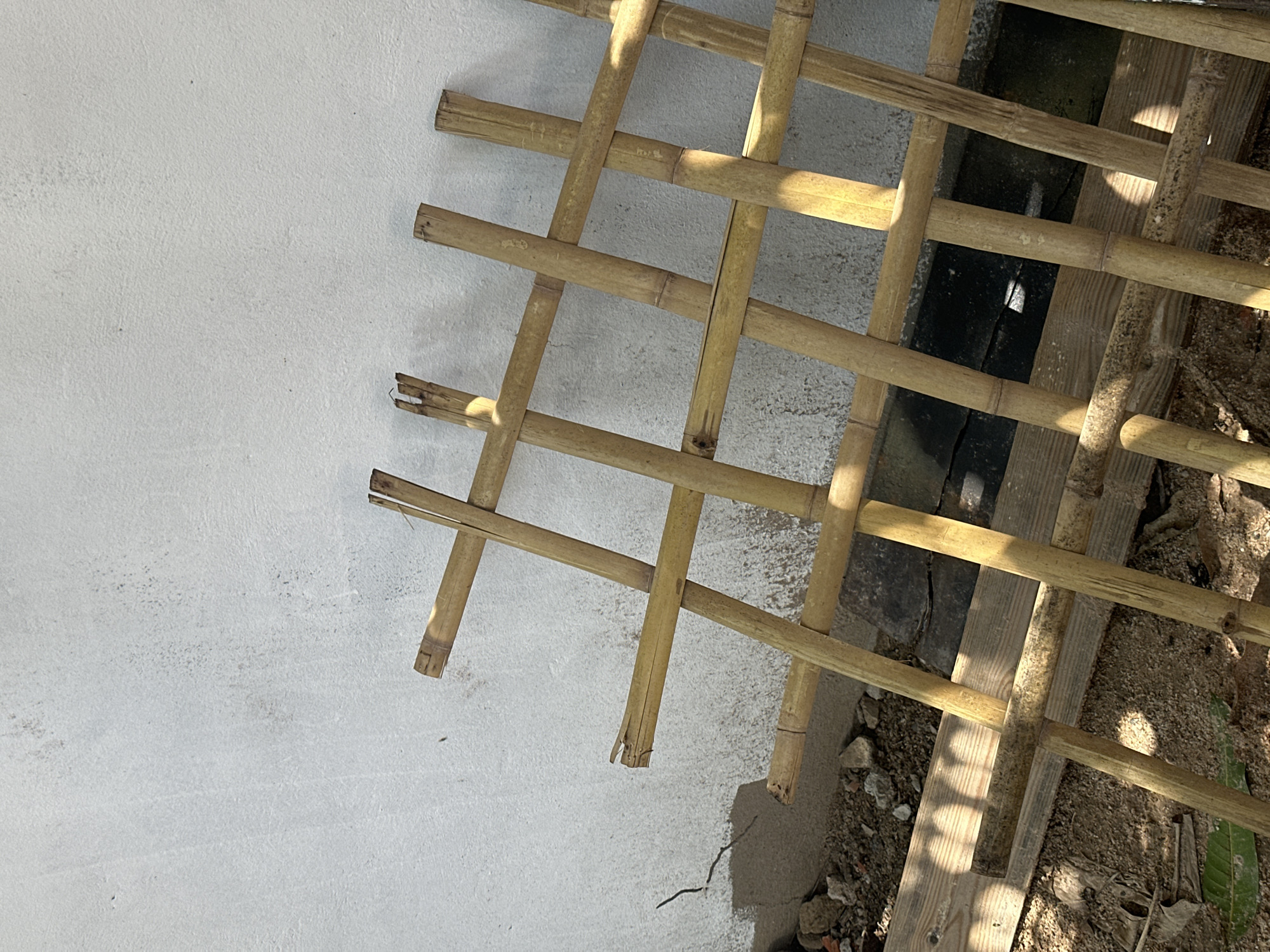 Lazy morning in Kampot — streets, plants, and local detail