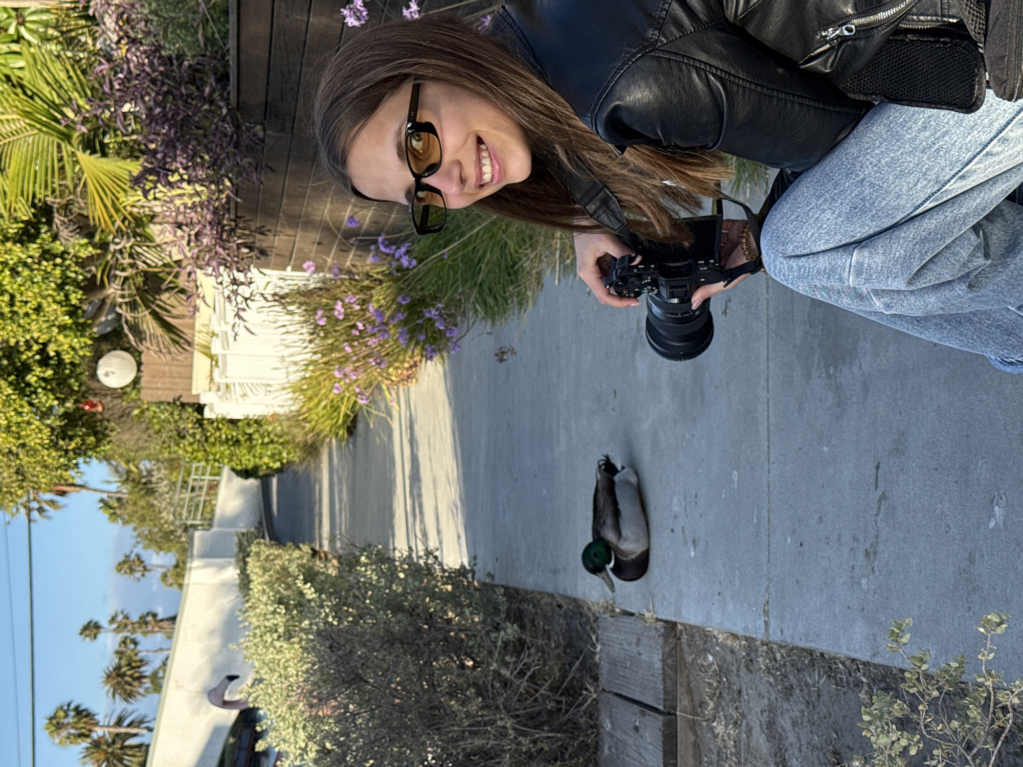 Photographer captures mallard duck near LA waterfront dock