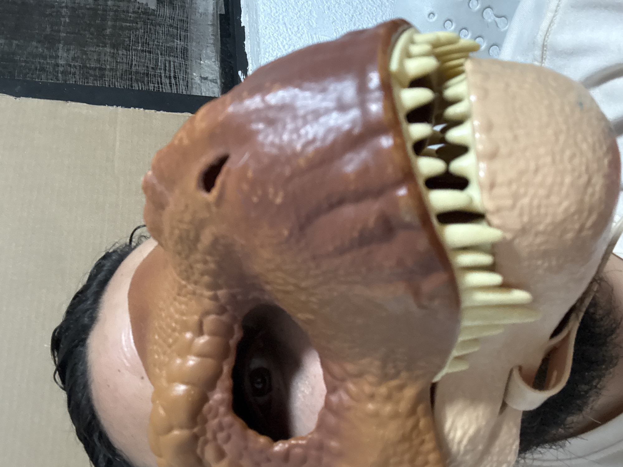 Costume sightings in Cuernavaca: dinosaur mask, clown poster observed