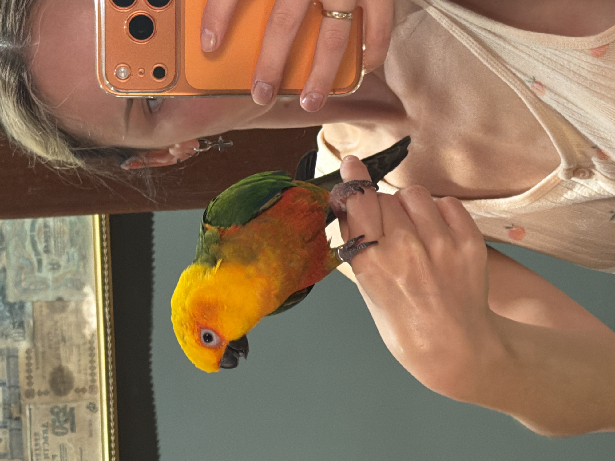 Pet moments captured in Khimki: parrot selfie, Pomeranian scenes