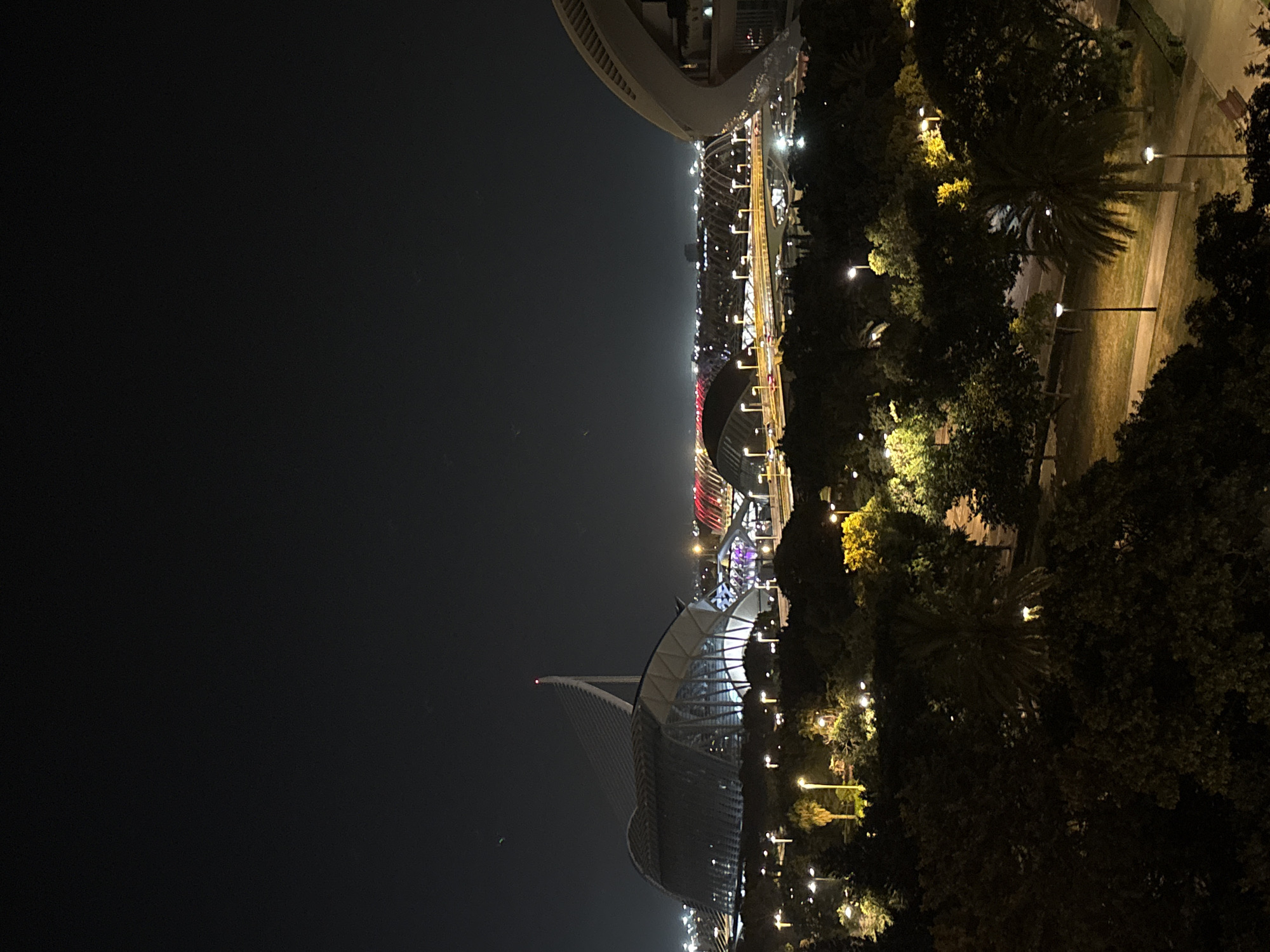 Valencia's City of Arts and Sciences lit up at night
