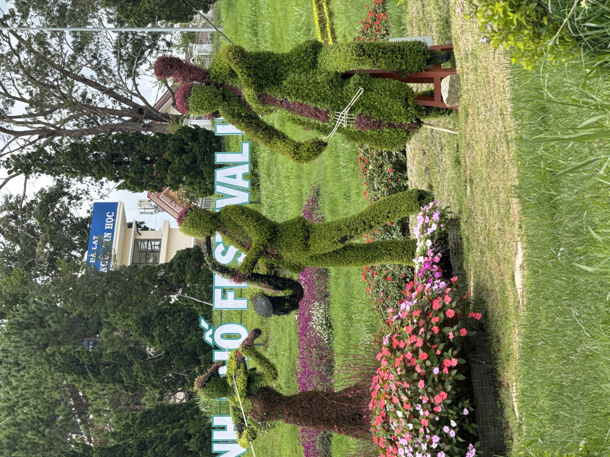 Early morning casual moments captured across Da Lat tourist areas