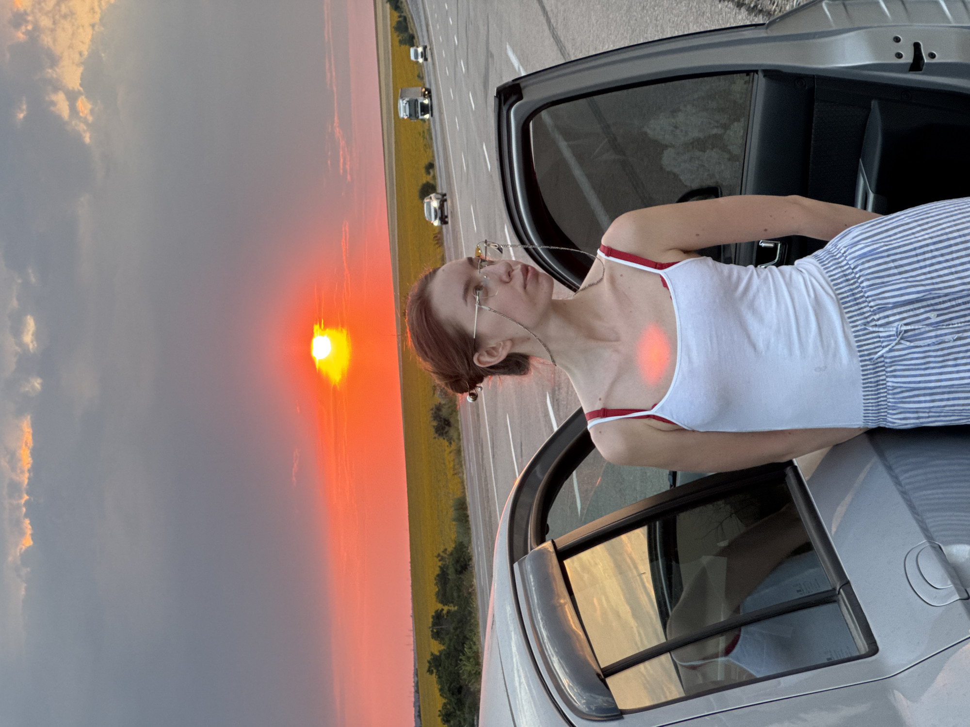 Sunset drive through rural Ukraine with hydrangeas in tow