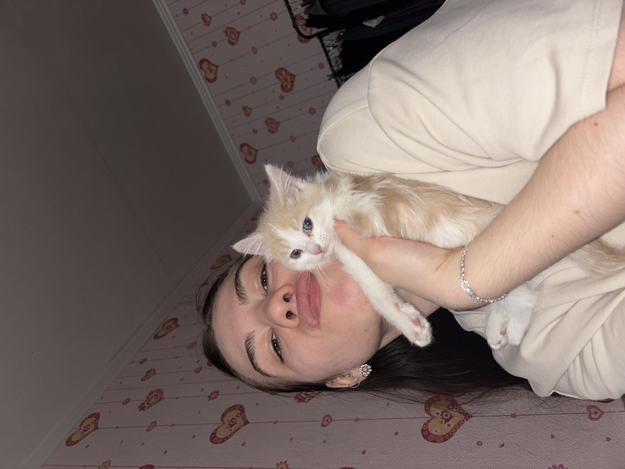 Woman cuddles kitten indoors in Perm, Russia